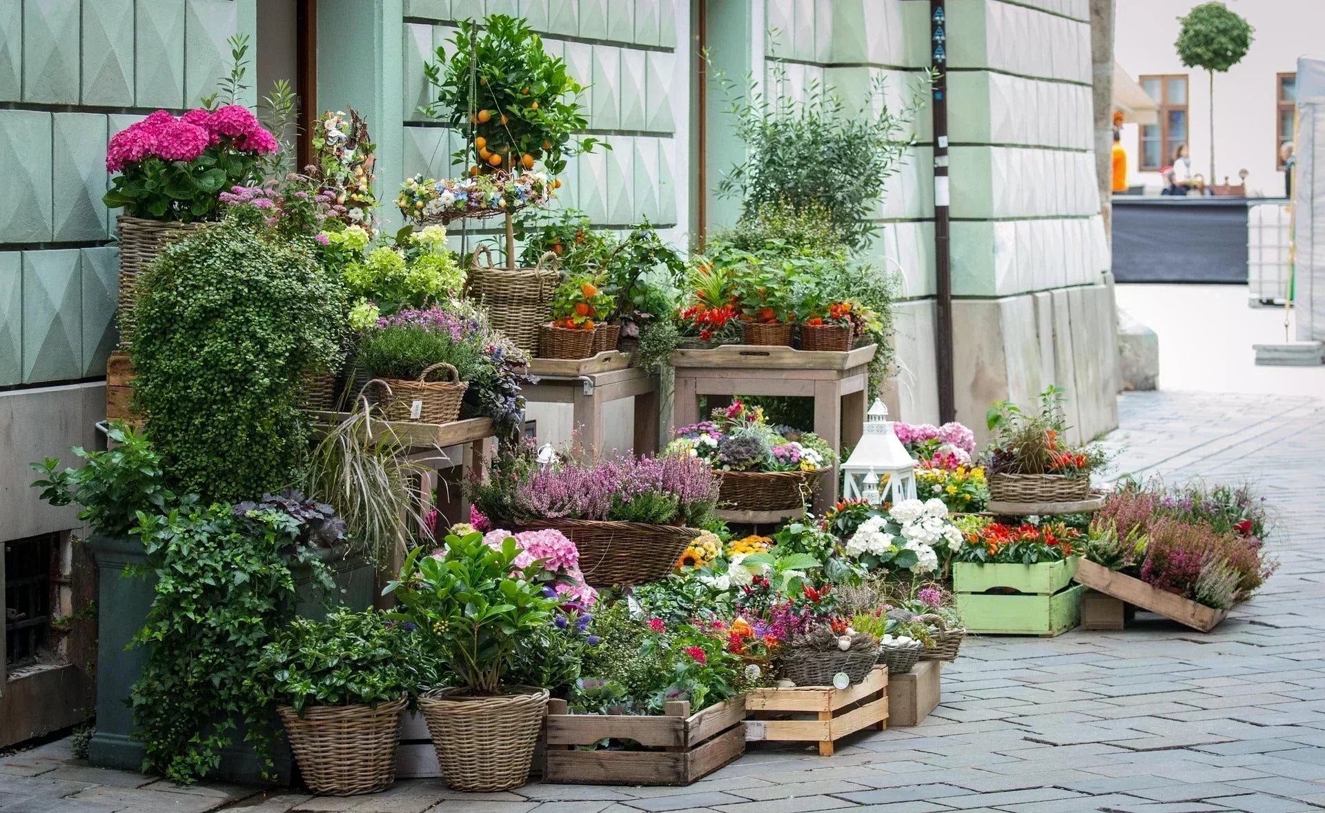 Top 10 Florists in Saint-Bruno-de-Montarville