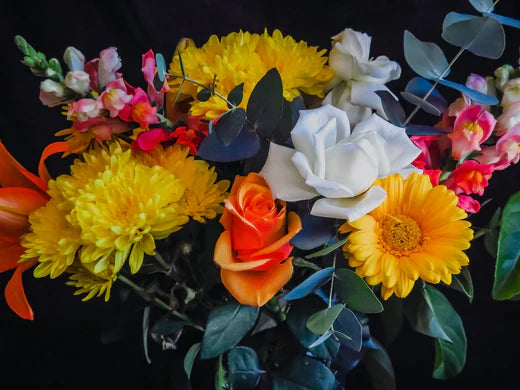 bright colored flowers
