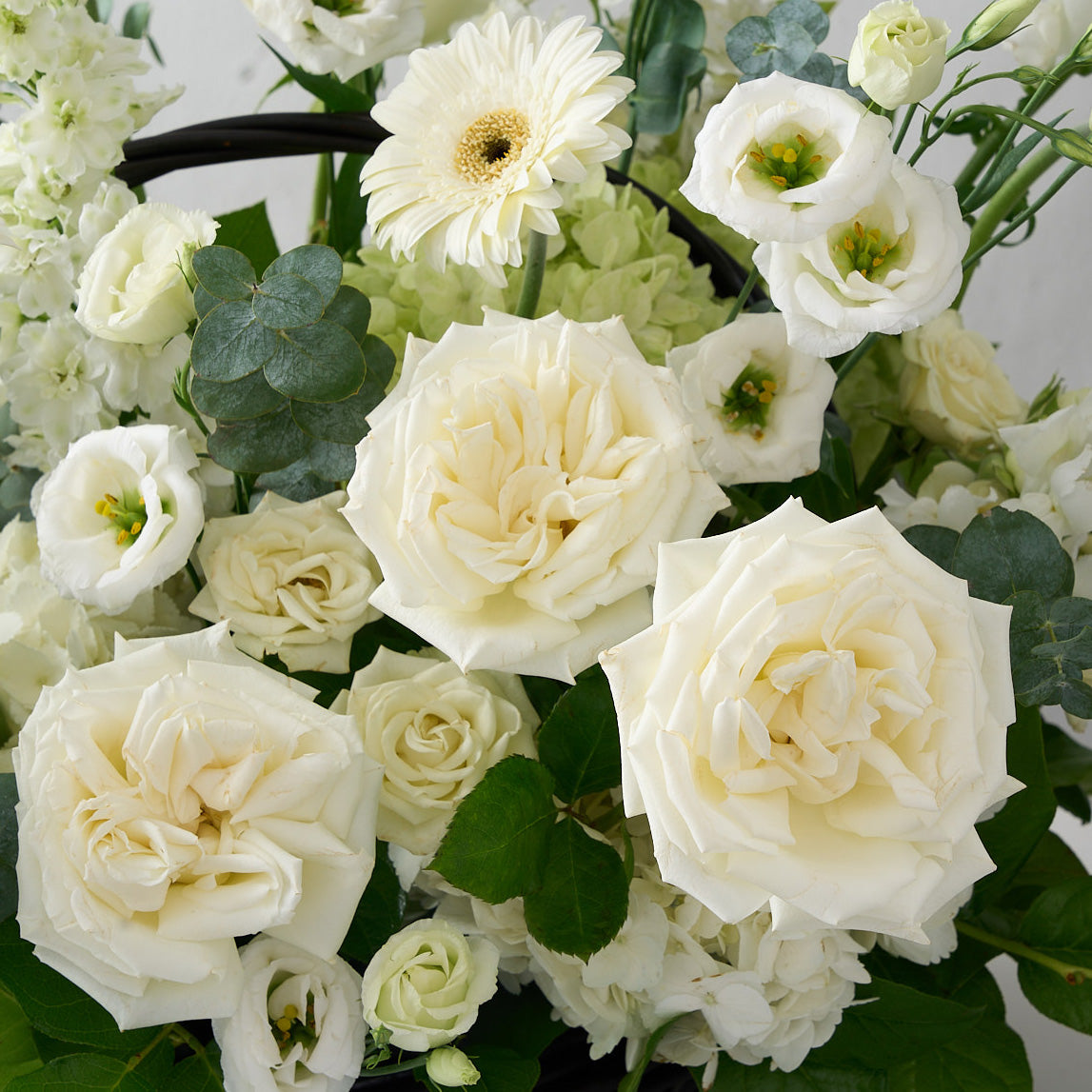 The Nellie Basket Lux