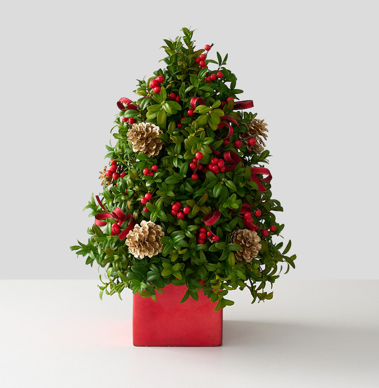 Sapin de Noël en buis