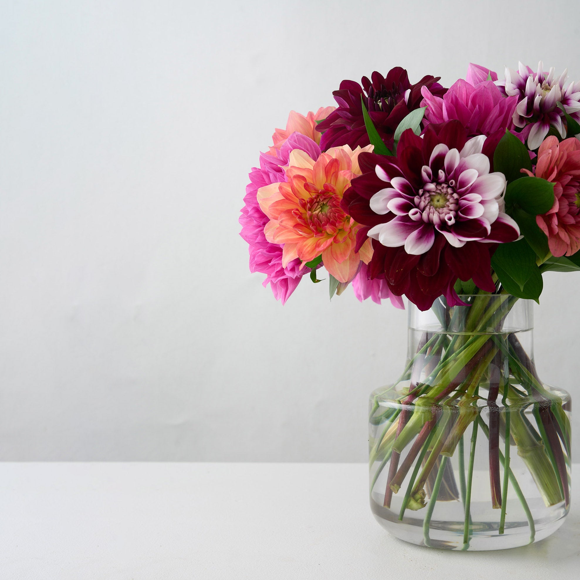 Arrangement de dahlias variés