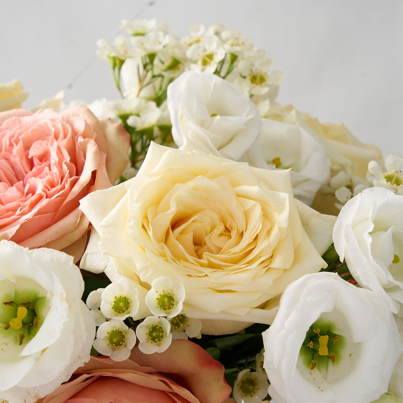 up close photo of a flower arrangement with pink khala and creamy white candlelight roses, white wax flowers and lisanthus in a pedestal glass vase.