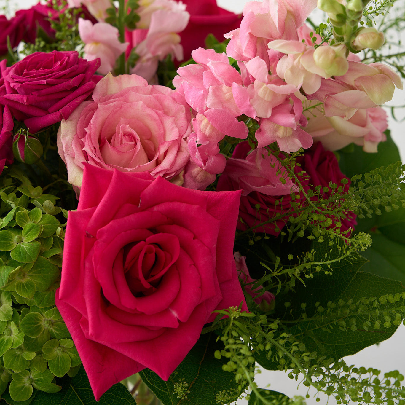 upclose picture of pink, hot pick roses, snap dragons, and hydrangea
