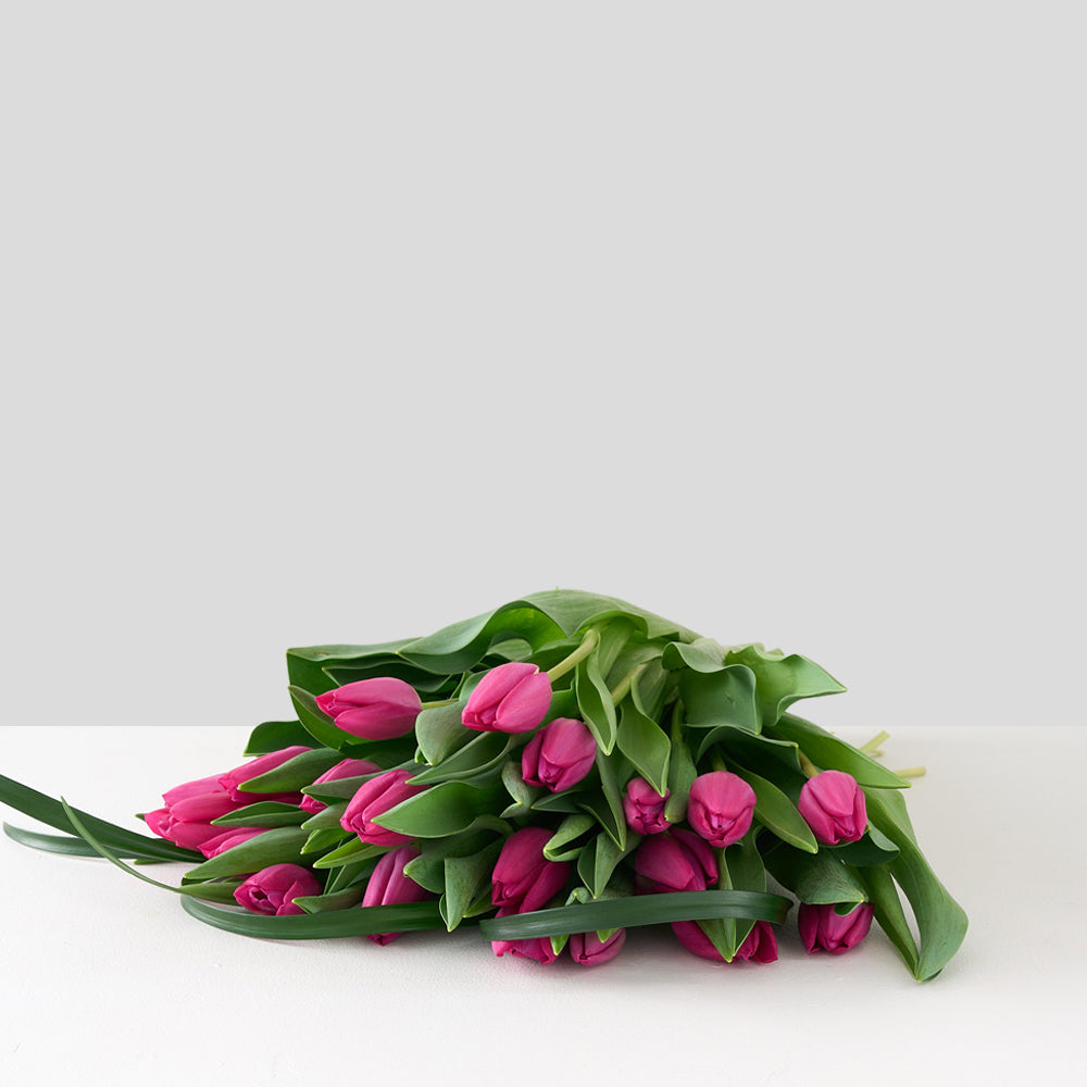 Monkland (Tulipes roses)