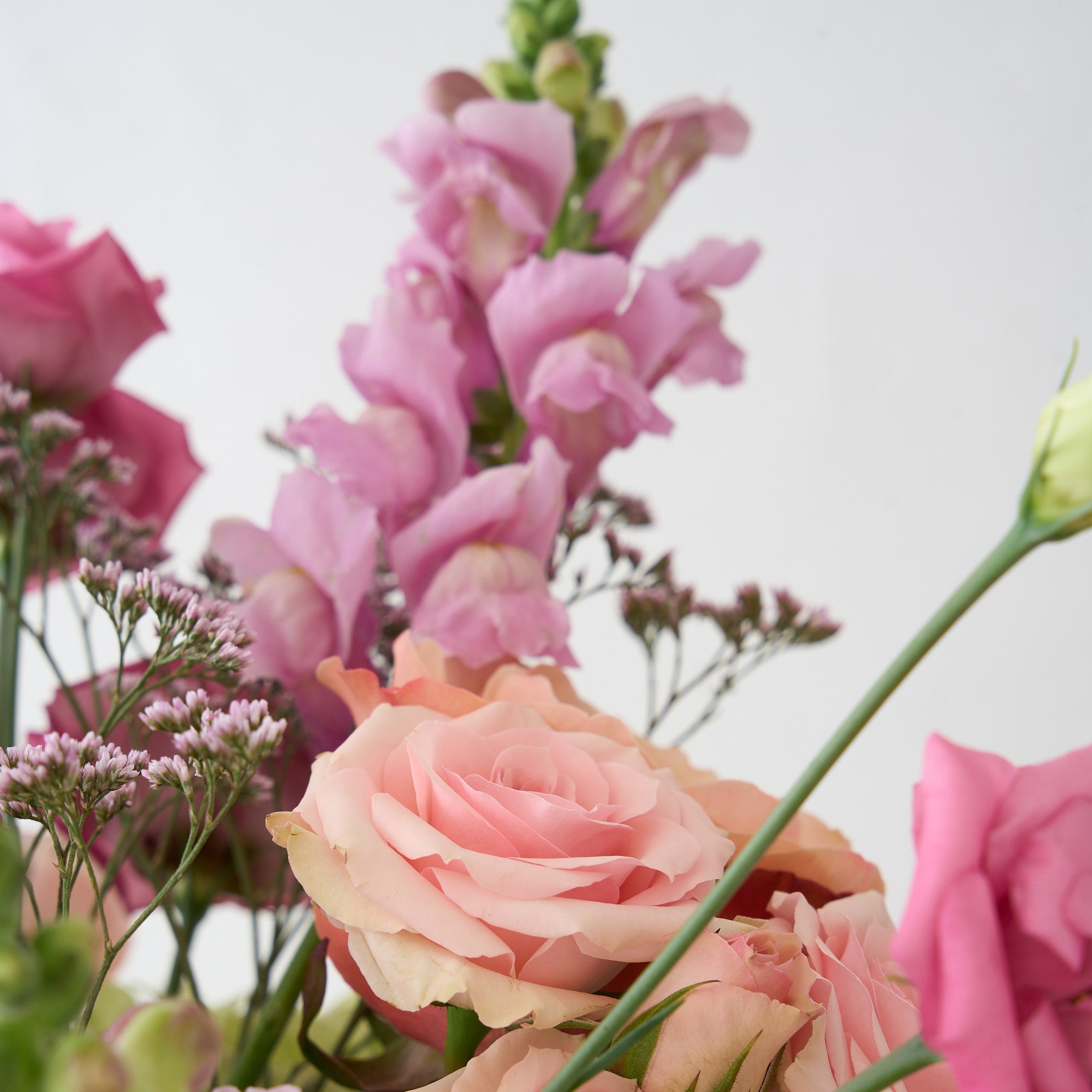 upclose shot of pink snapdragons, roses and lisanthus
