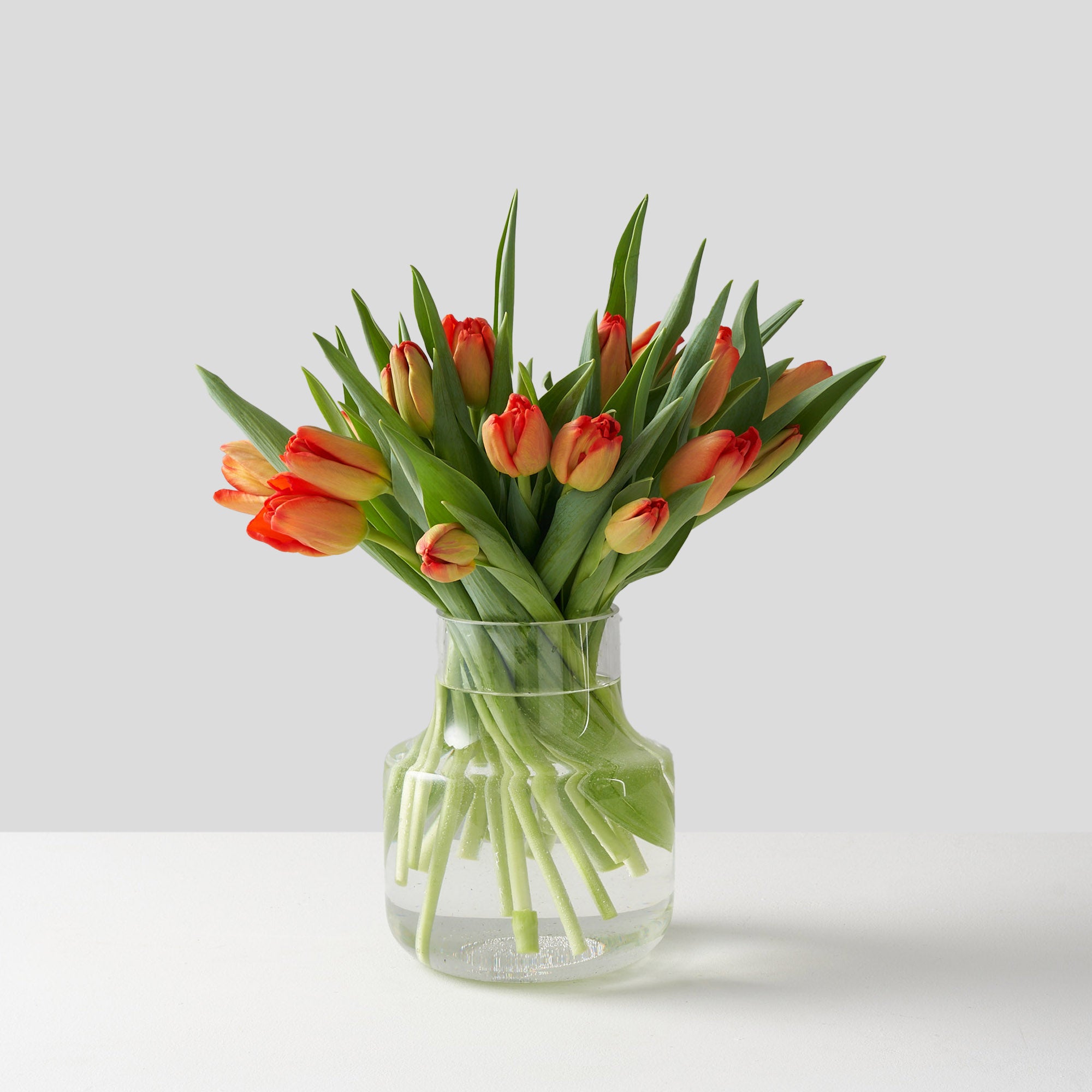 Rounded clear glass vase packed with orange tulips