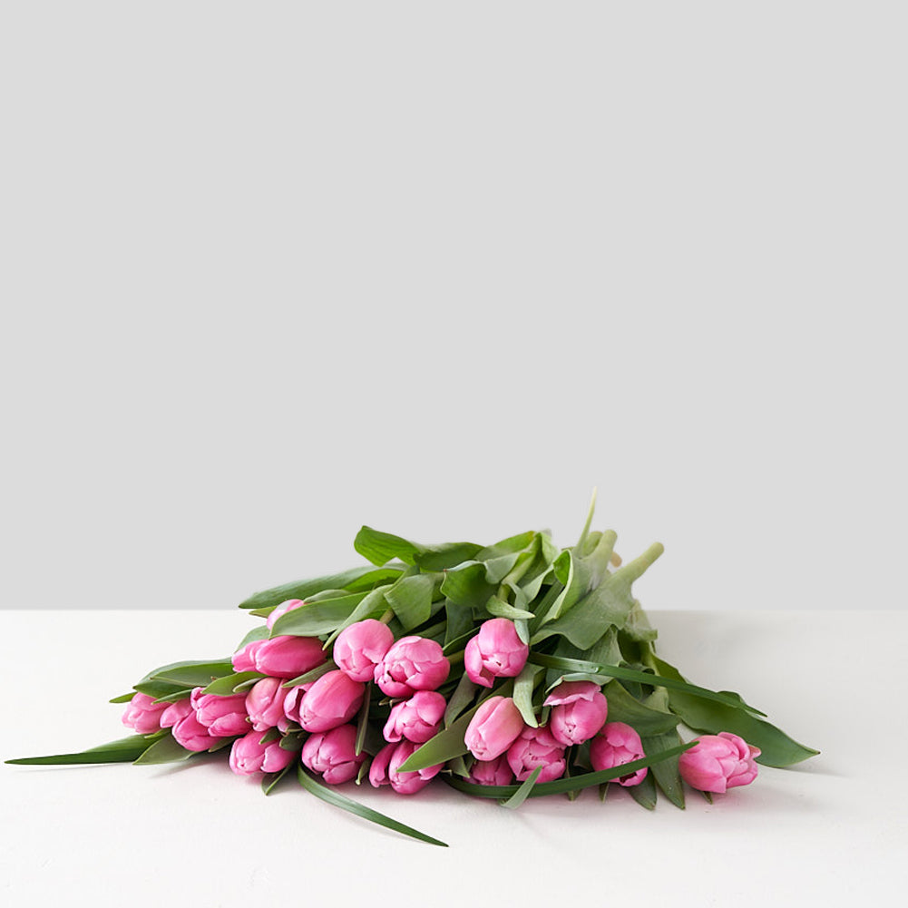 Collection of pink tulips set upon a white table