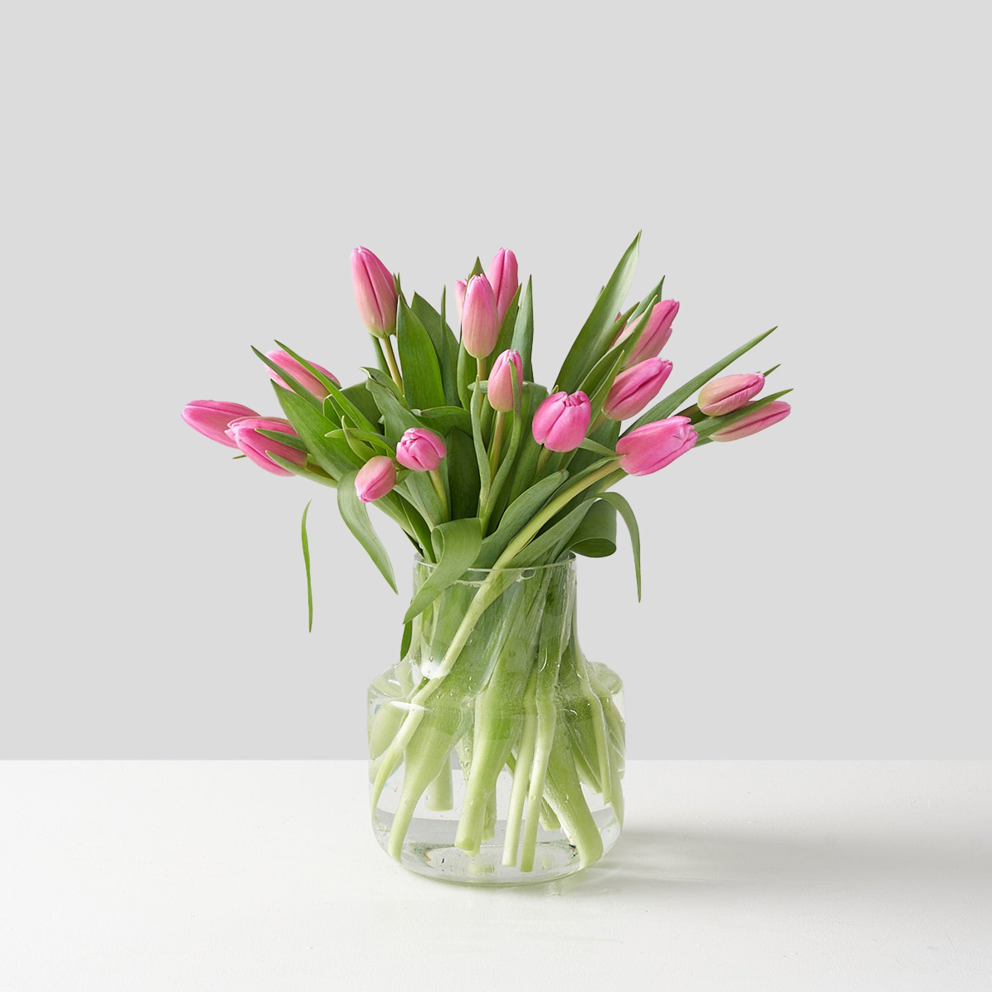 Rounded glass vase containing a collection of pink tulips