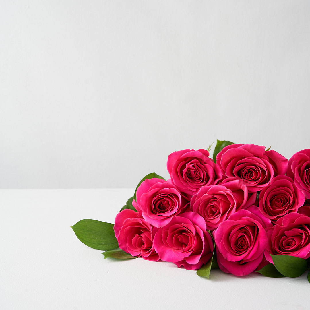 Hot pink gotcha roses.