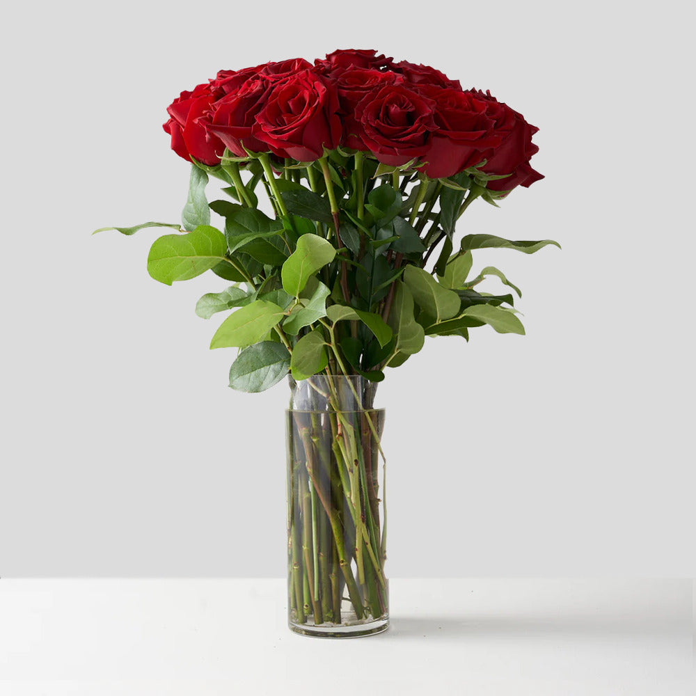 24 Red Explorer Roses Arranged