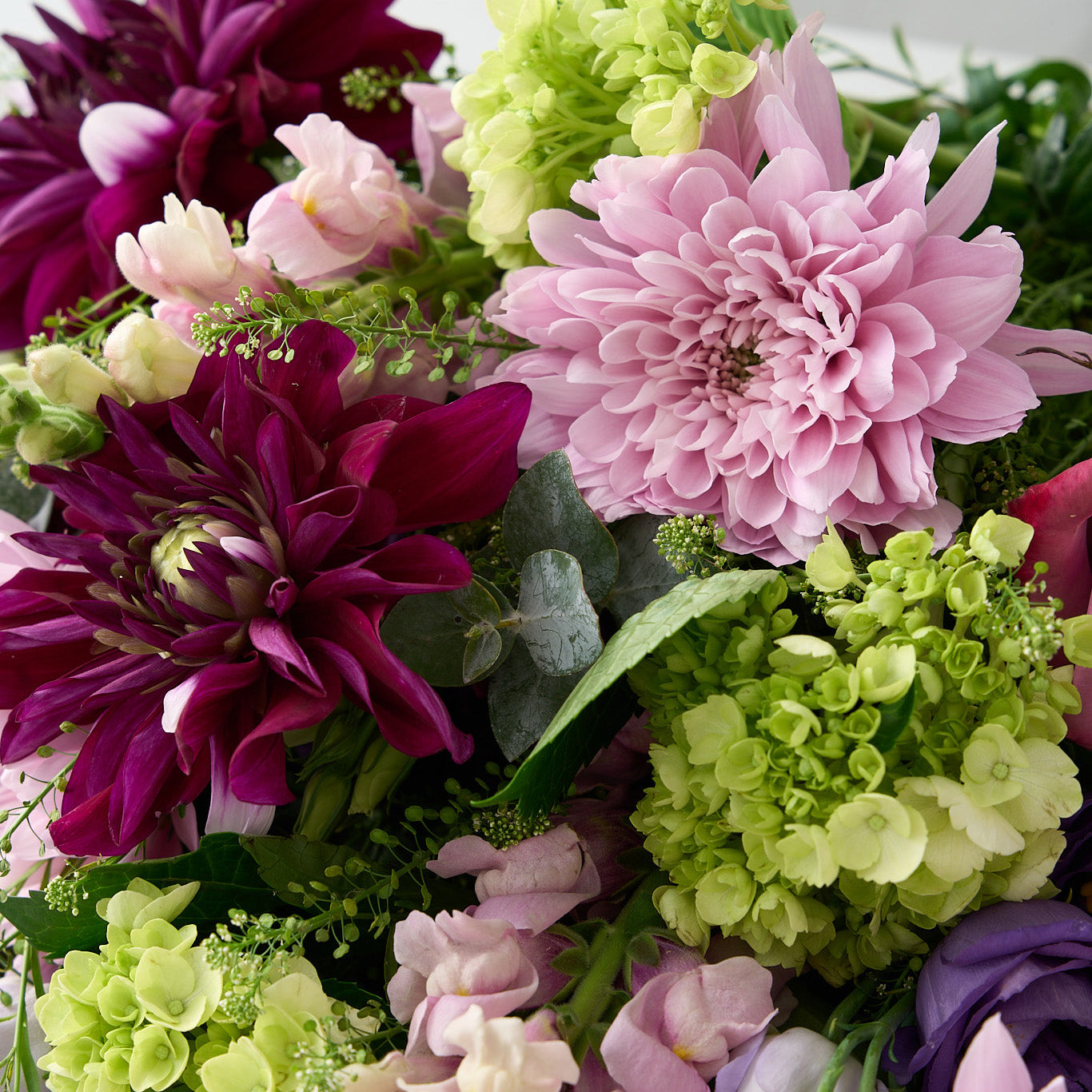 Bouquet of purple, pink dahlias, mauve long stemmed roses green hydrangea and lavender Lisianthus on a light gray background