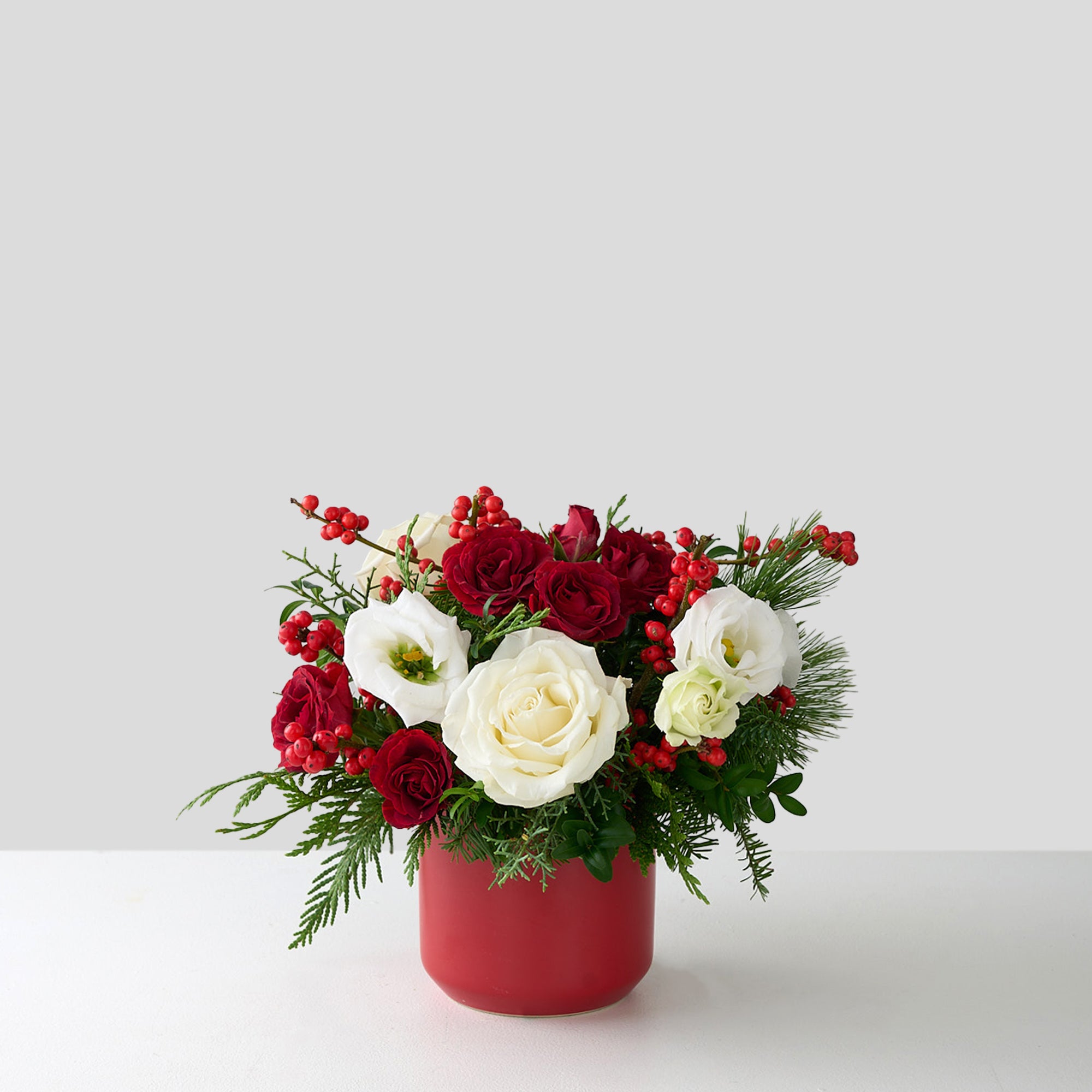 Small christmas arrangement with red and white roses, hypericum berries, winter greens in red ceramic pot