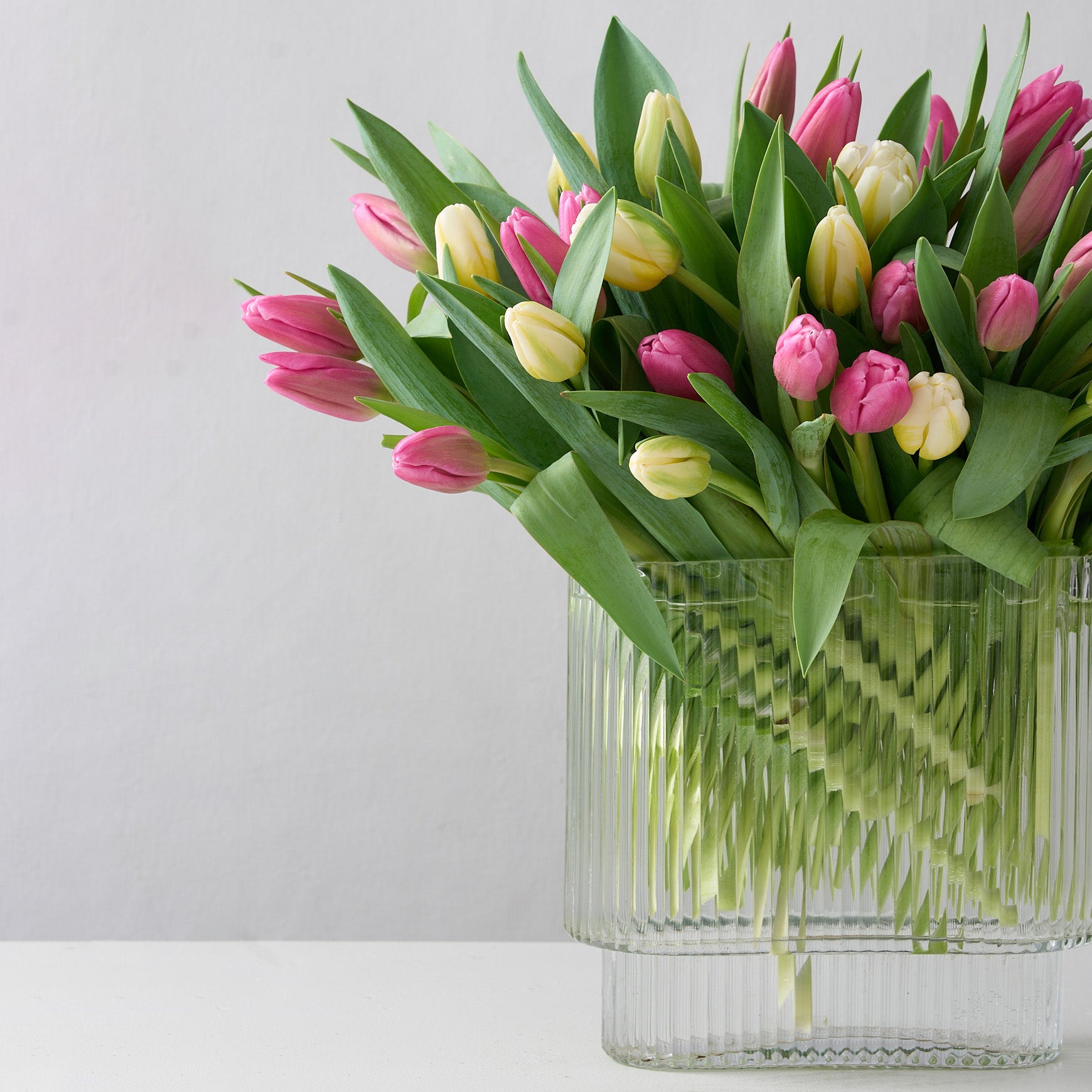 Create shot of a floral arrangement featuring a mix of pink and white tulips in an clear, oblong ribbed vase.