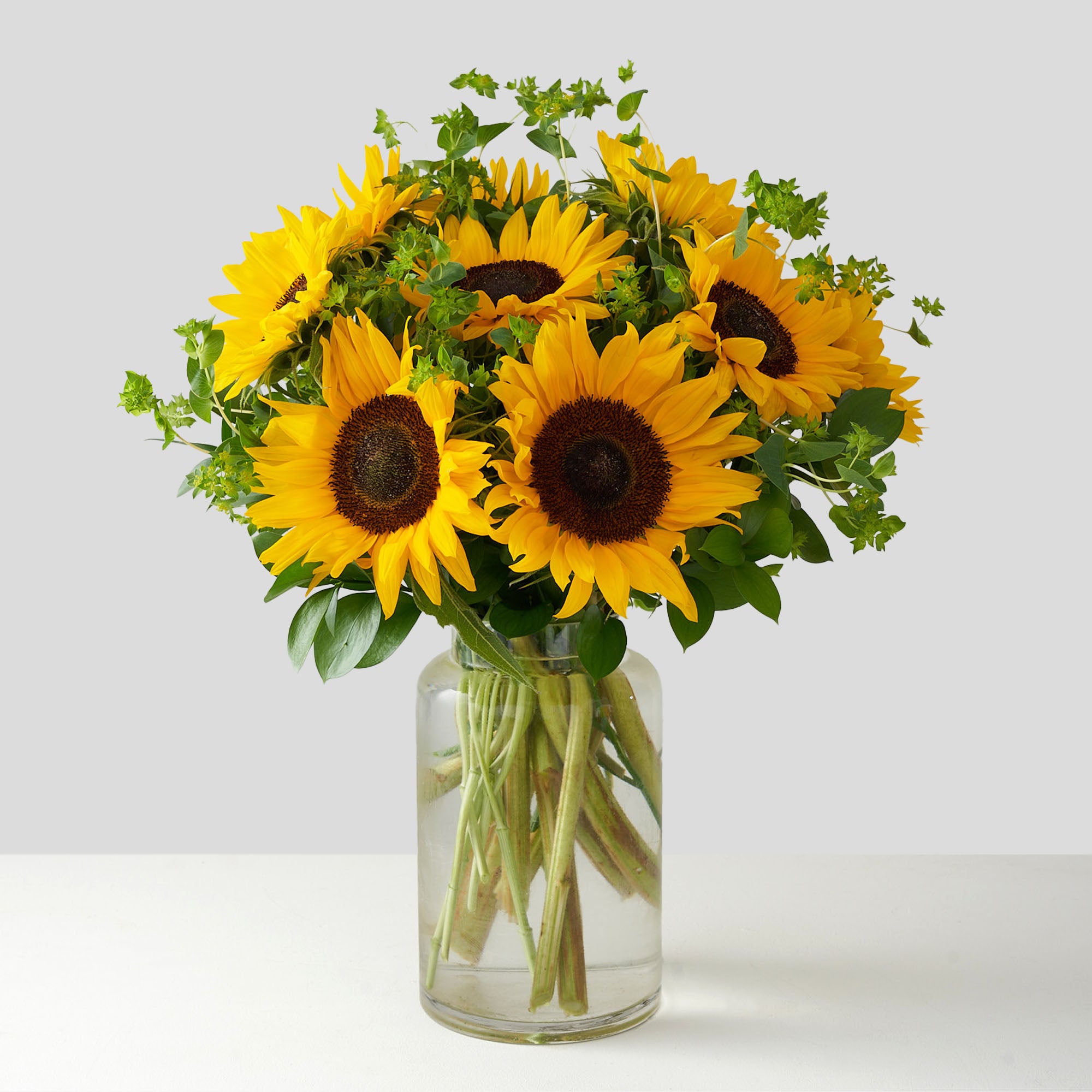Sunflowers and greens in a clear tall jug glass vase