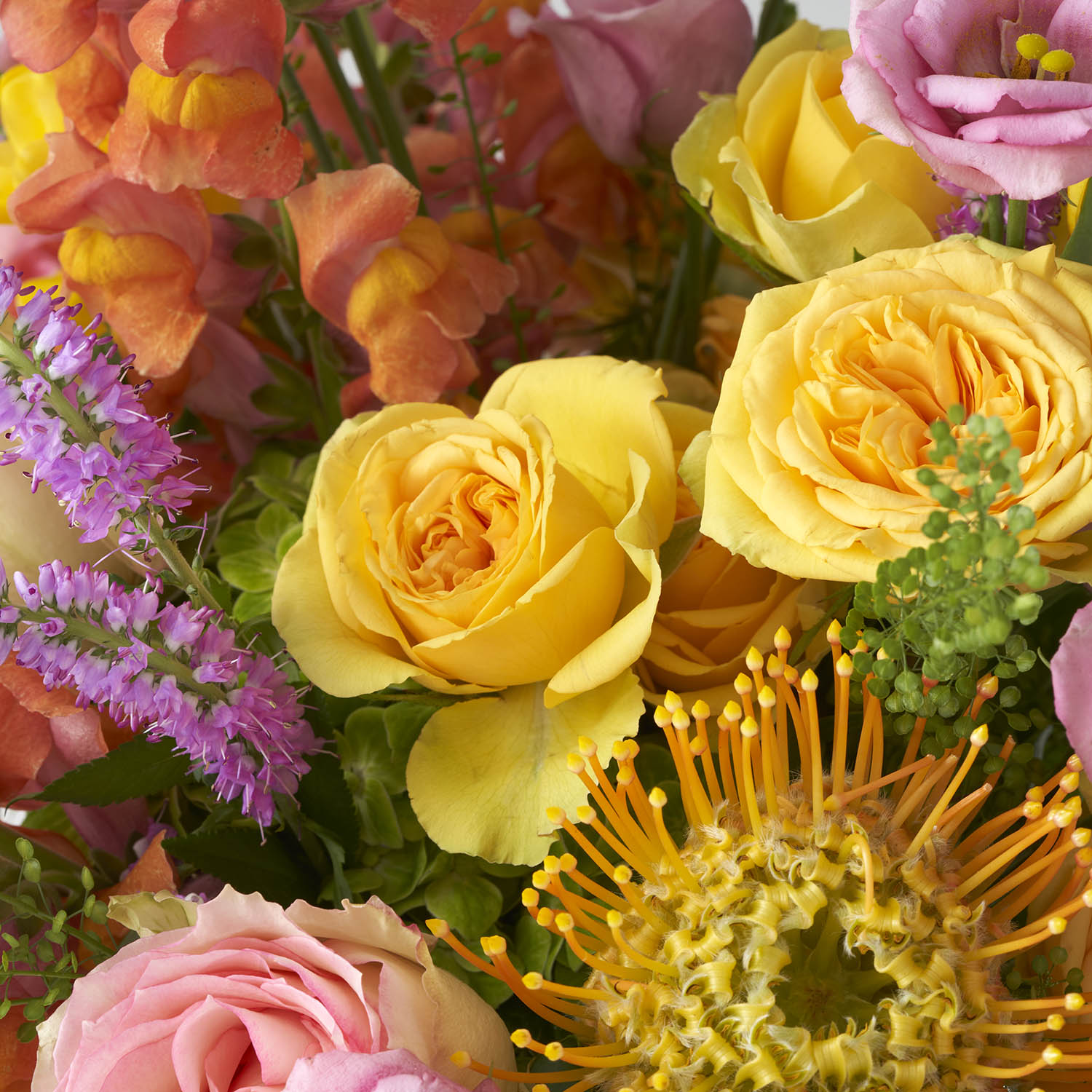 Close up of yellow pink and orange flowers.