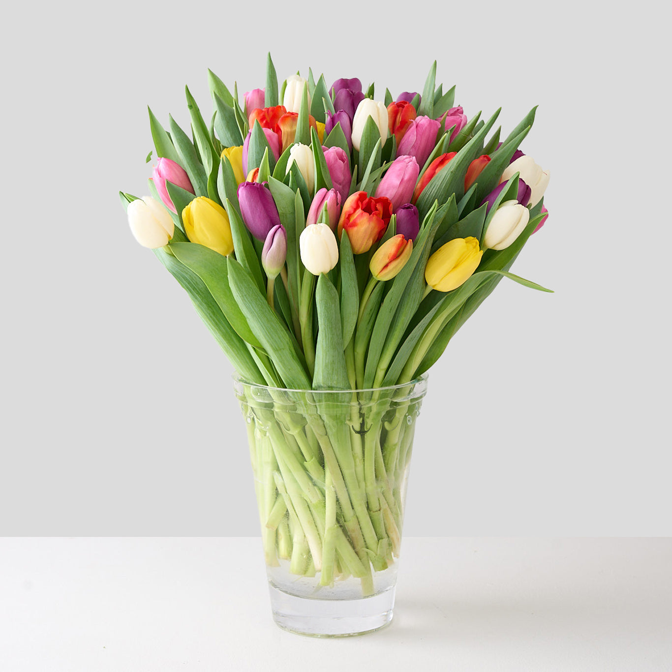 Mixed Tulips in Premium Bergs Vase