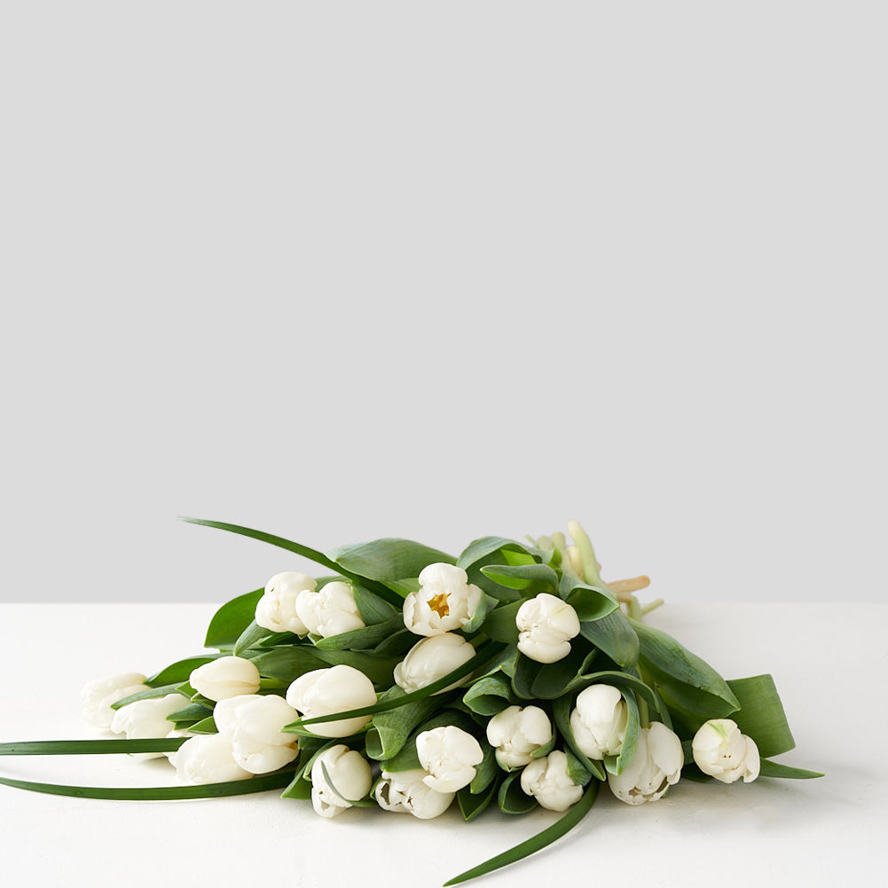 Bouquet of white tulips set on a white table