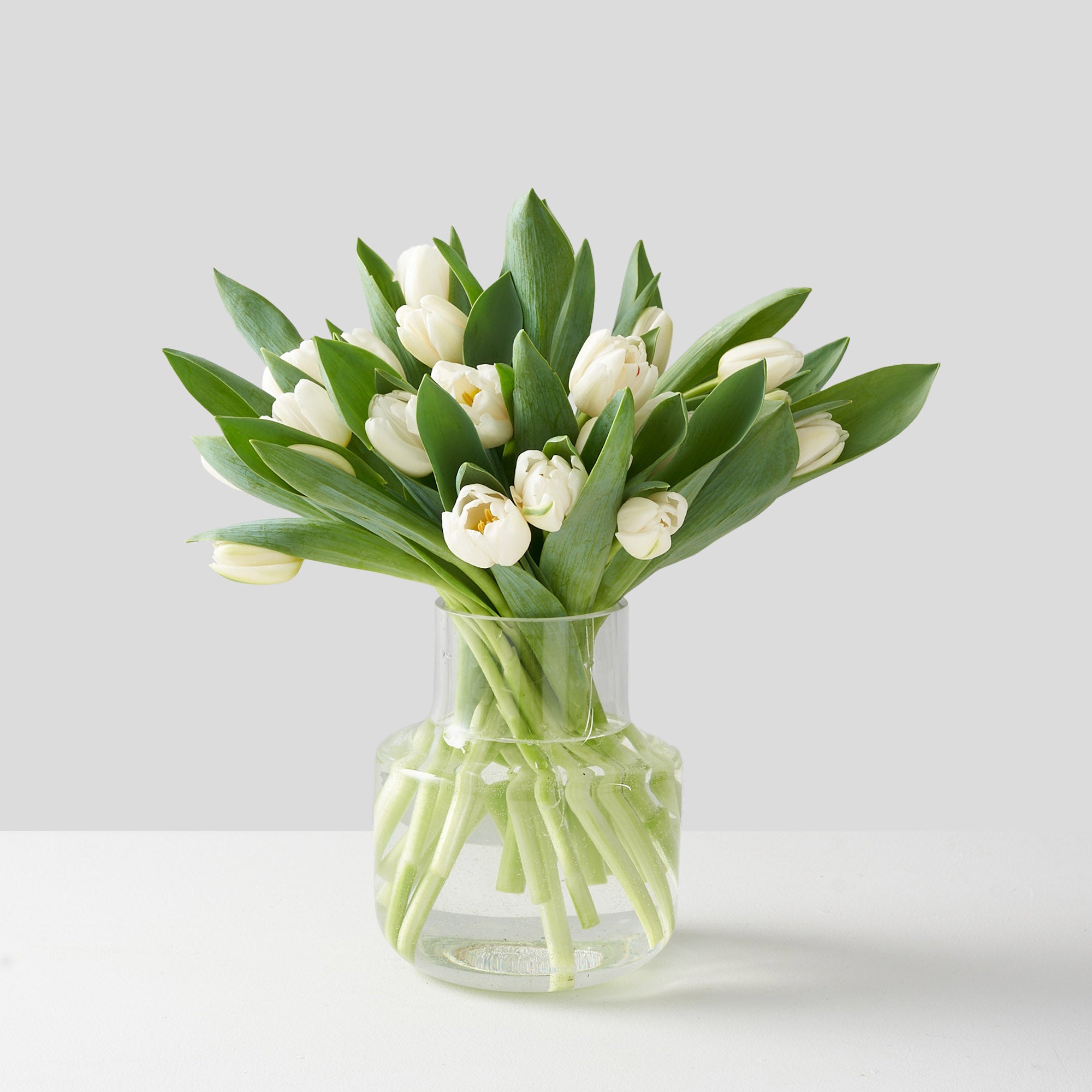 Clear glass vase arranged with white tulips