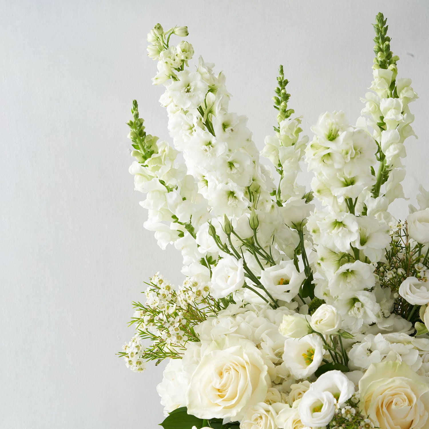 Close up of white roses, snapdragons, delphinium and lisisanthus,  on white background.