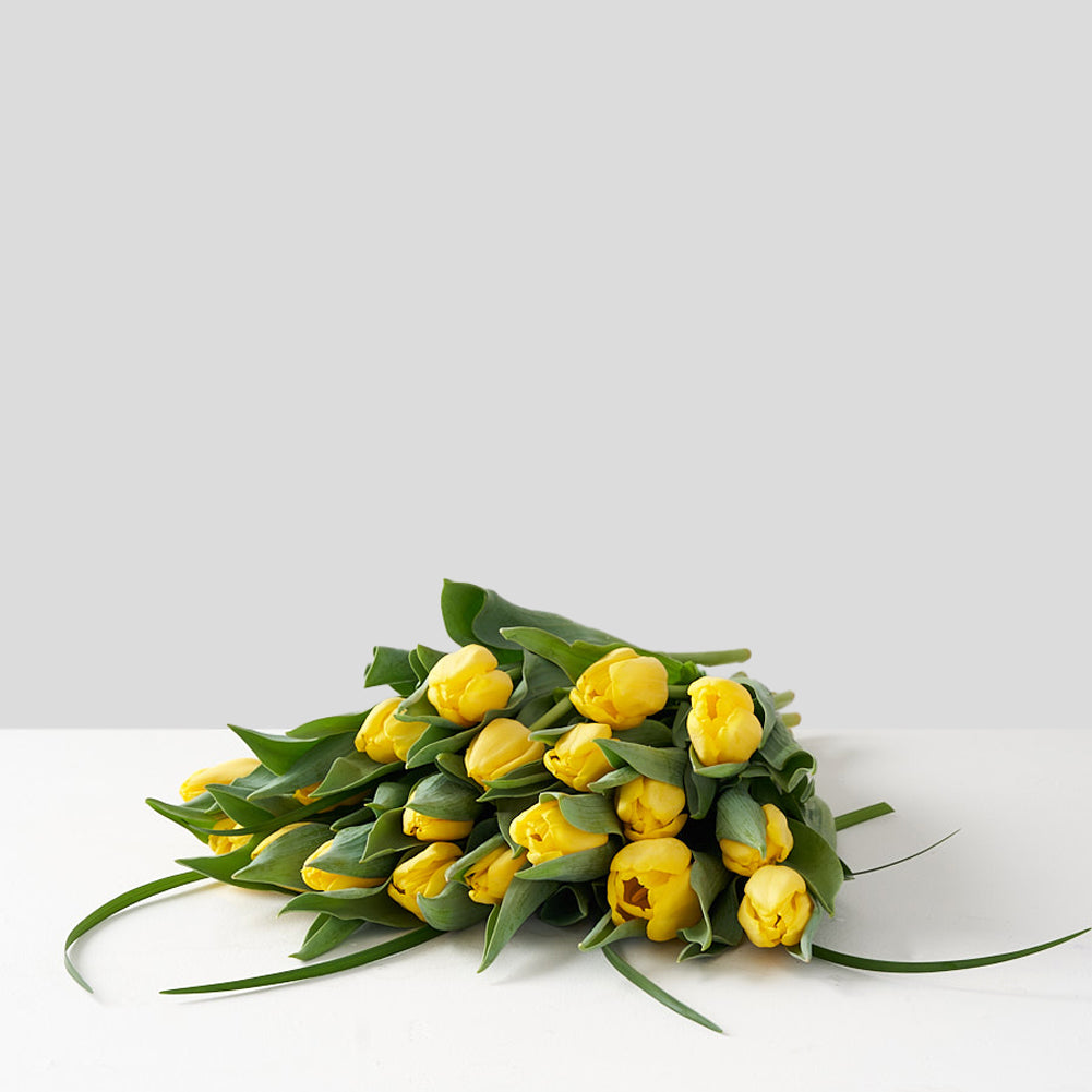 Collection of yellow tulips set upon a white table
