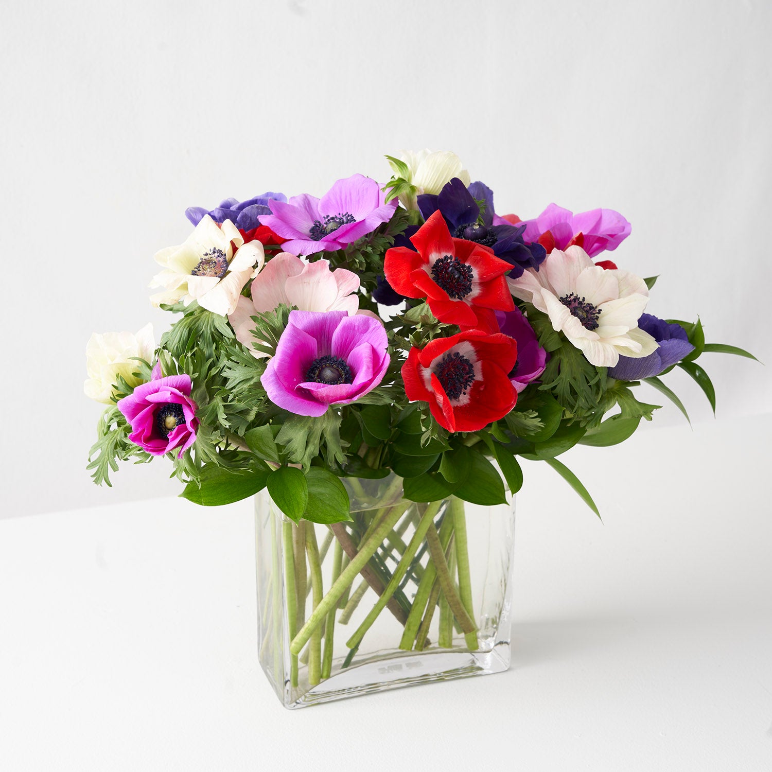 Clear gall rectagular glass vase filled with pink, purpl, white, and red, anemonie flower.