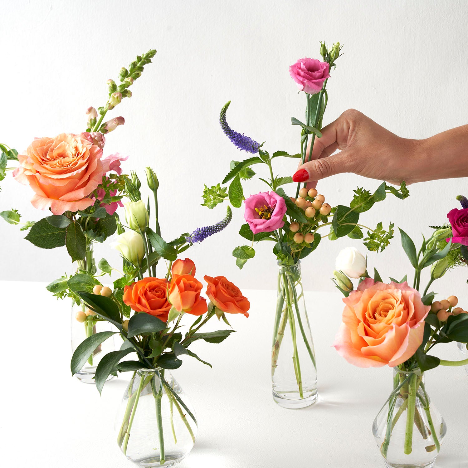 Four small glass vases filled with orange, pink, and purple flower, hand coming from right side adjusting flowers,on white background.