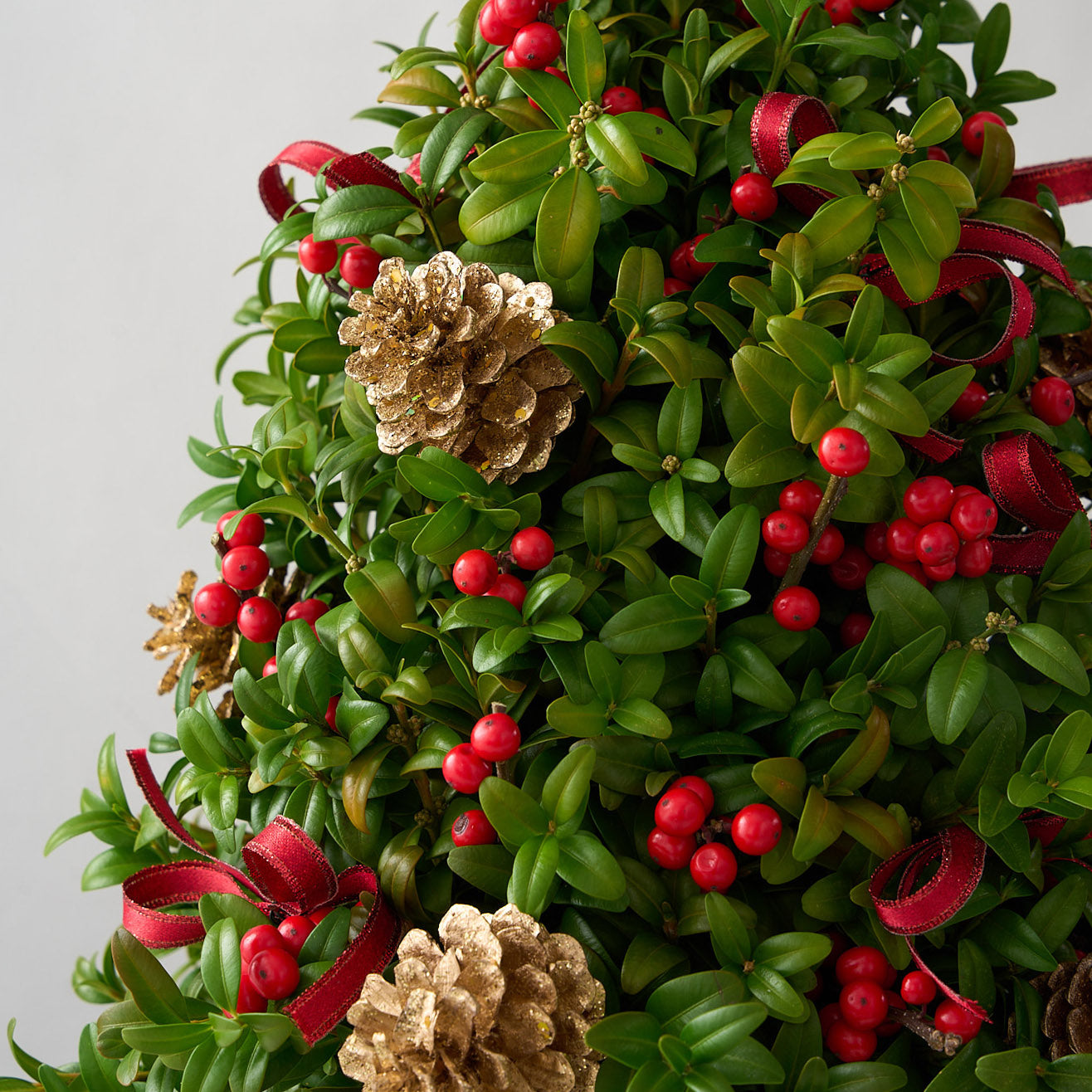 Sapin de Noël en buis