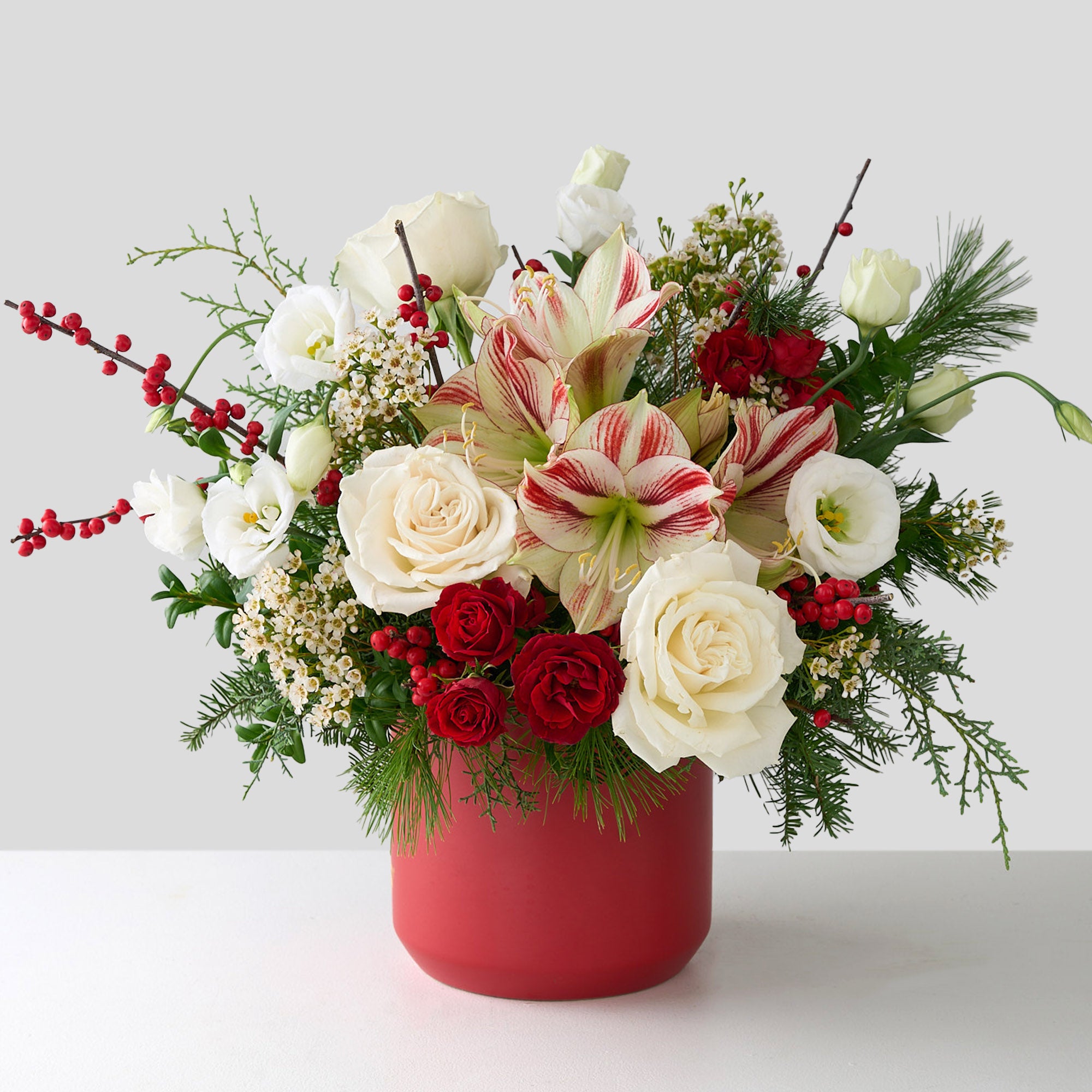 Christmas flower arrangement with candy cane amaryllis, white roses, lianthus, red winter berries with boxwood and other winter greens in a red ceramic vase.