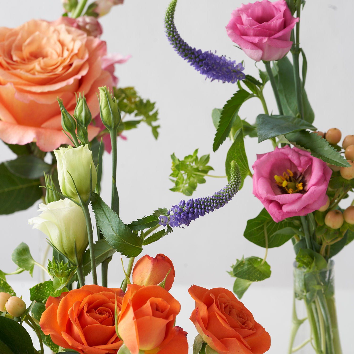 Closeup of orange roses, pink lisianthus, and purple veronica flowers on white background.