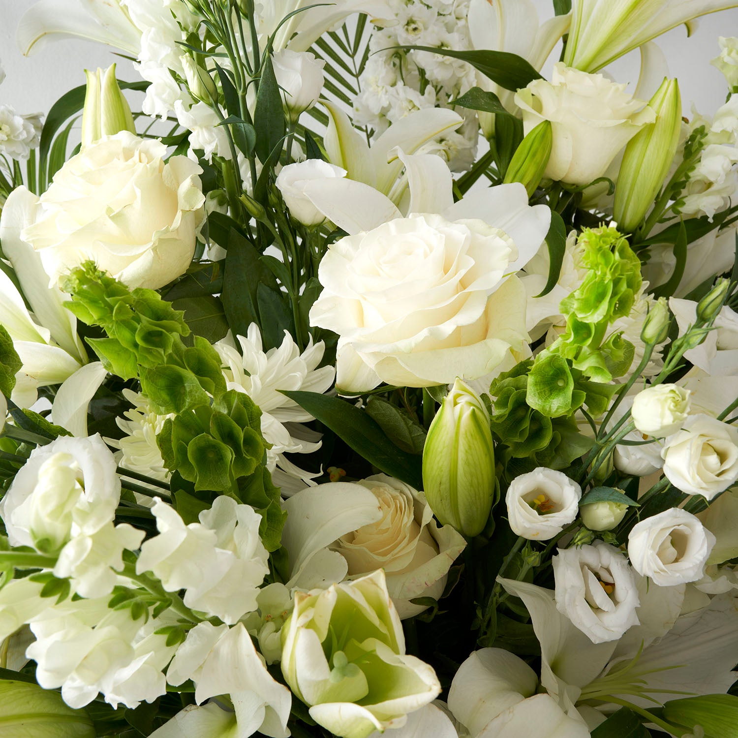 Closeup of all white and green flowers.