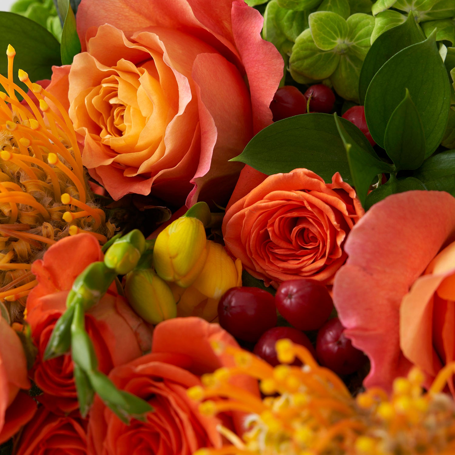 Closeup of orange, red, and yellow coloured flowers.