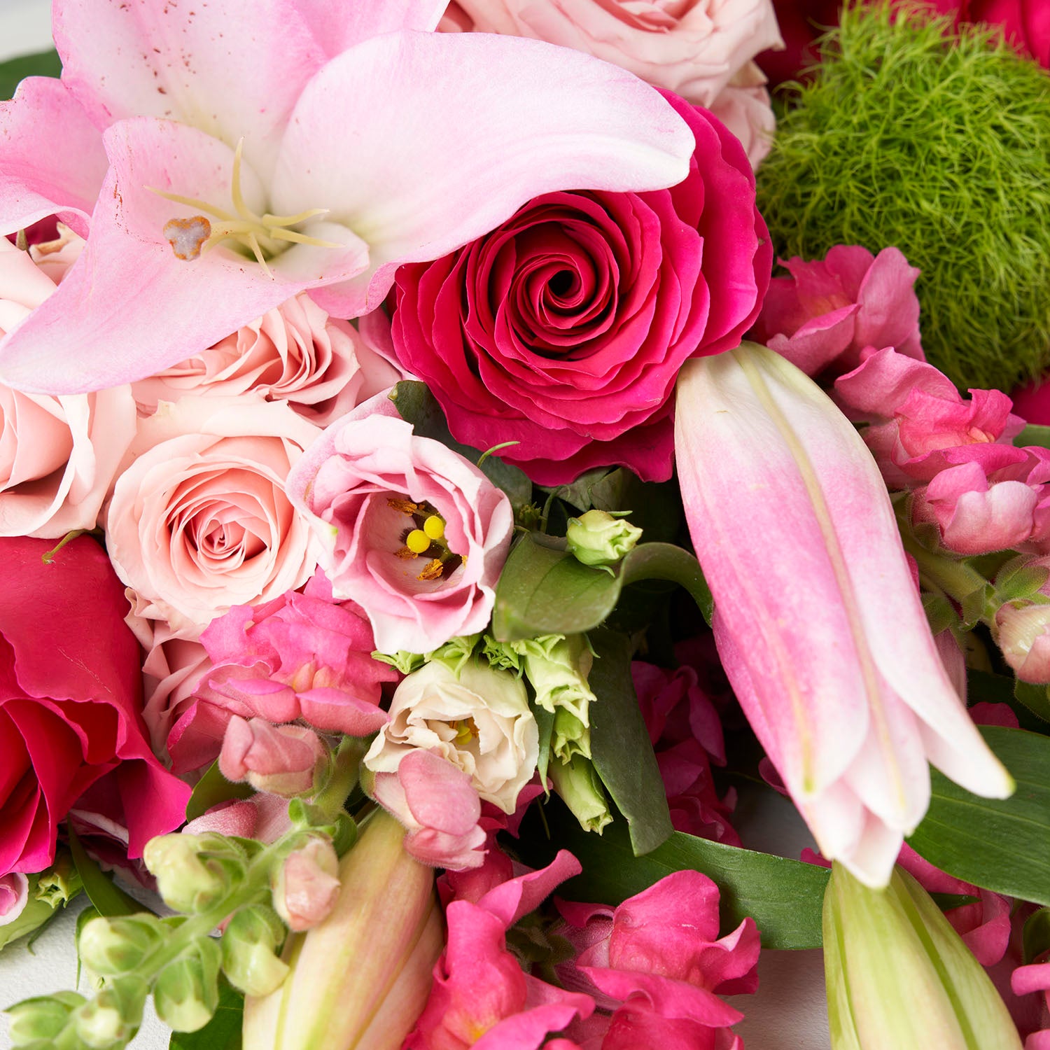 closeup of a veriety of different types of pink flowers.