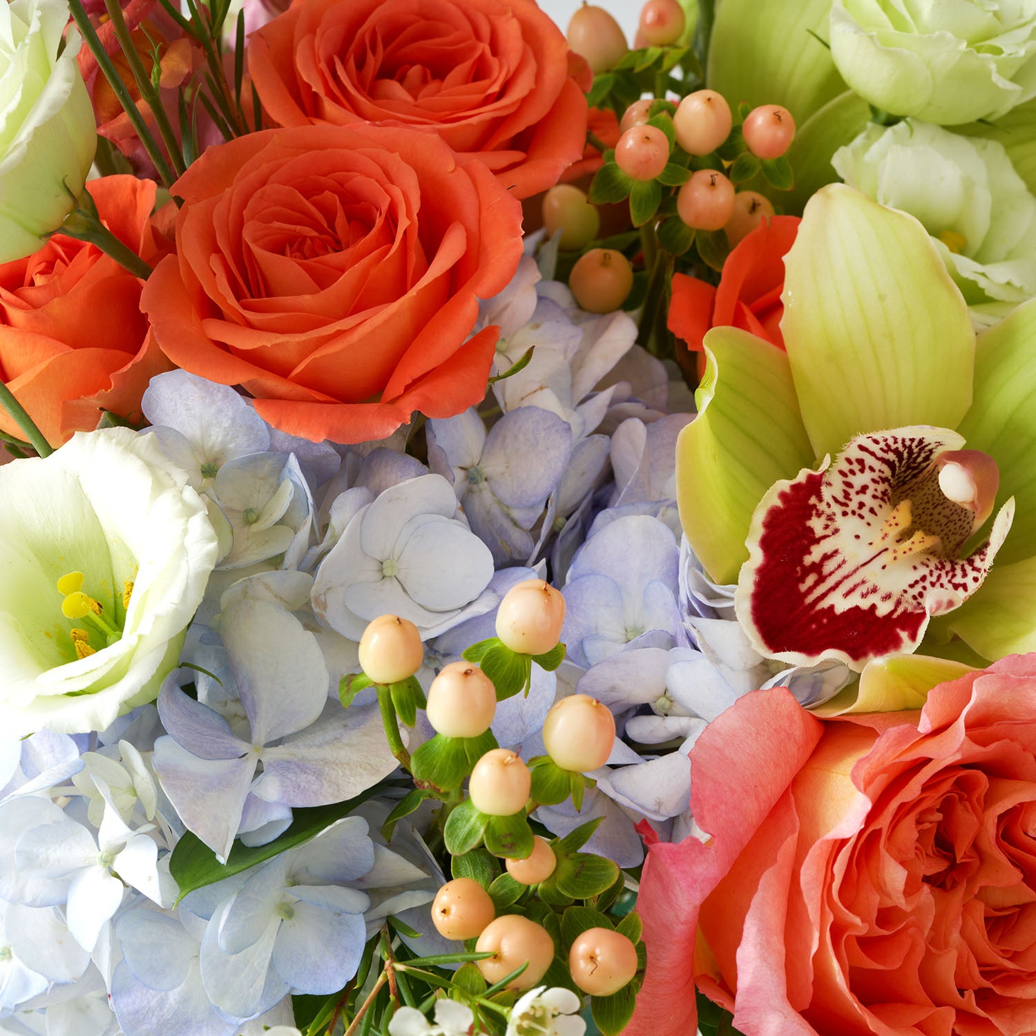 Closeup of orange roses, peach hypericum berries, blue hydrangea and green cymbidium orchids.