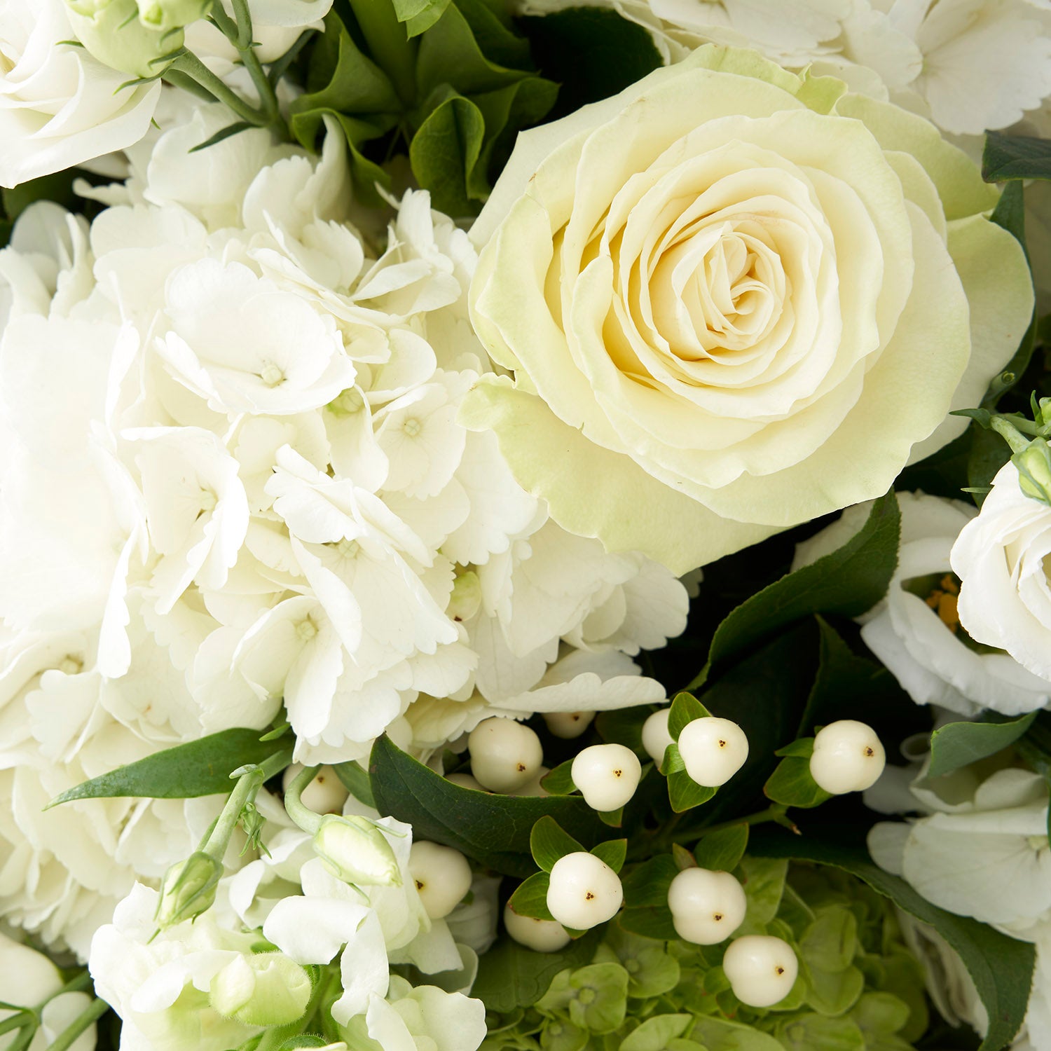 Close up of a white rose, white hydrangea, and white hypericum berries.