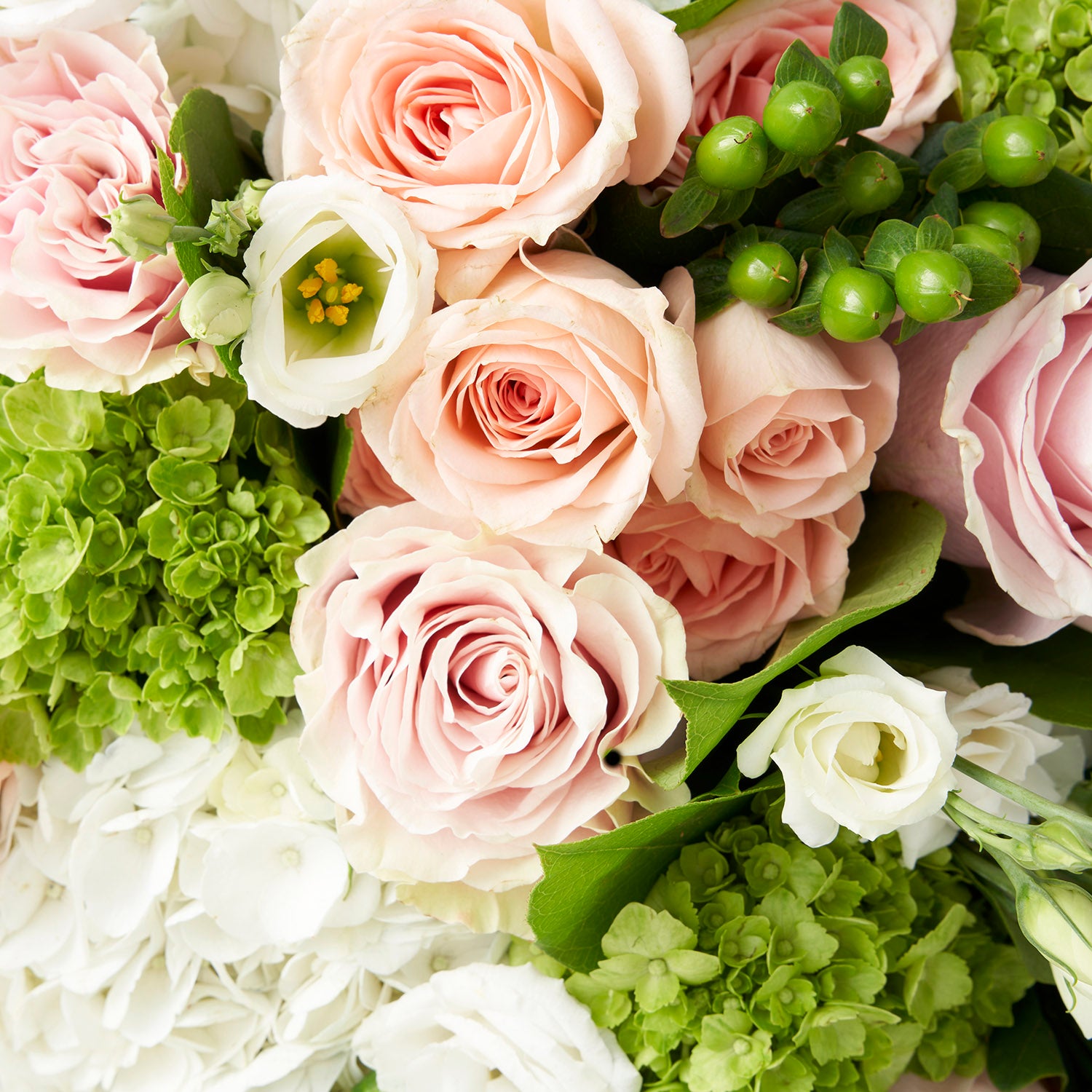 Close up of soft pink roses and lime green hydrangea.