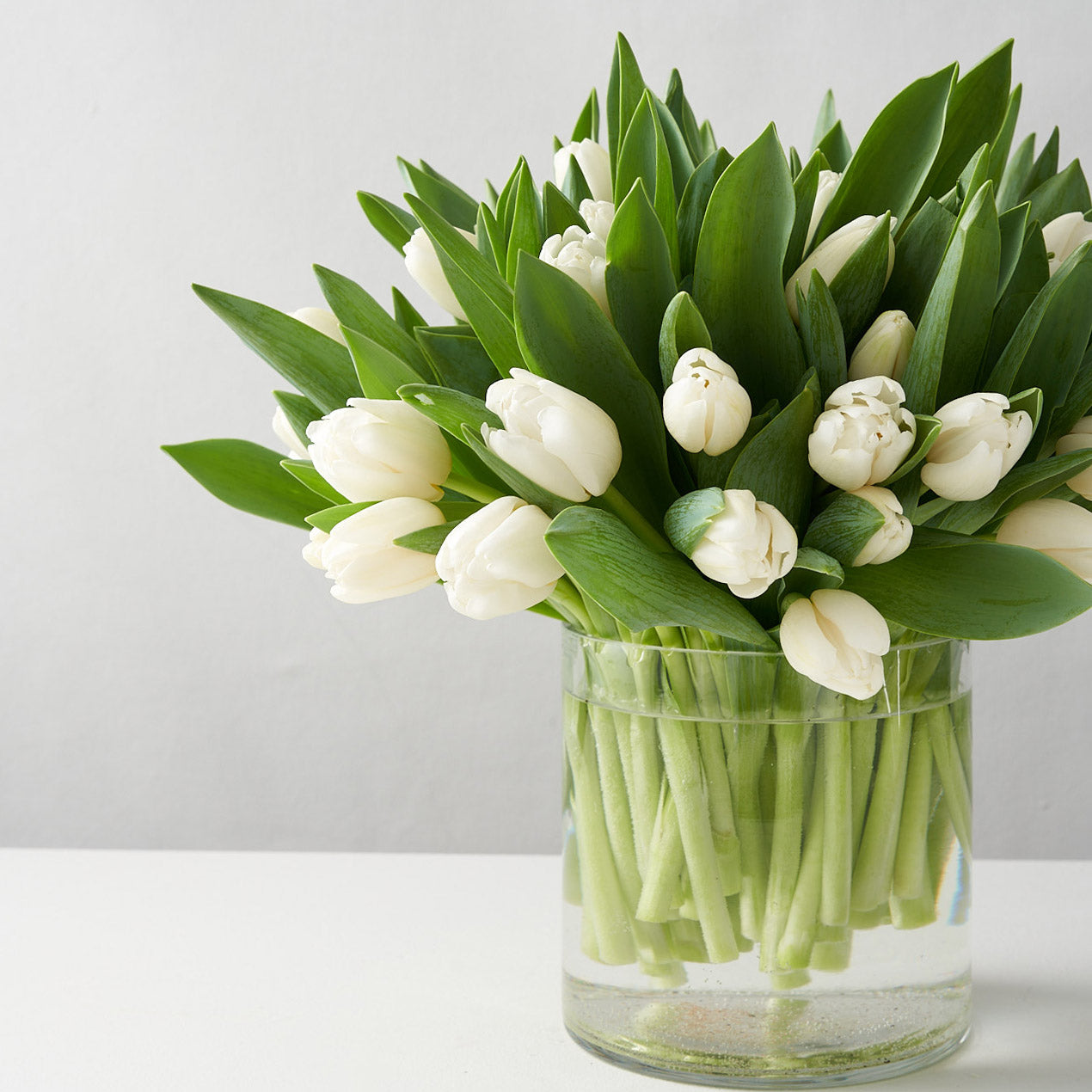 Clear glass vase set upon a white table filled with white tulips