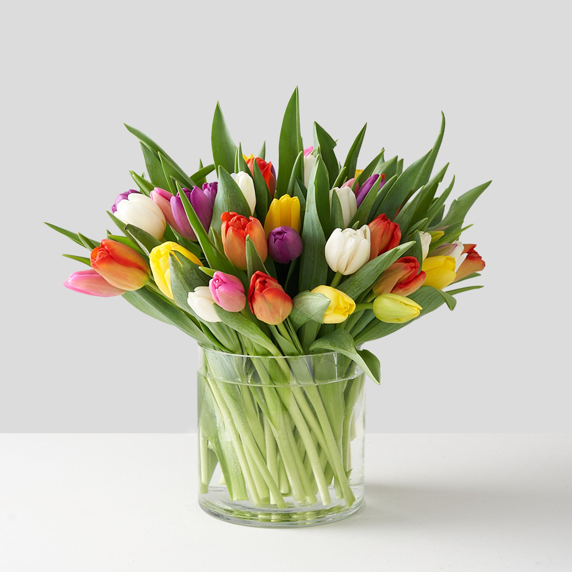 Two dozen multi coloured tulips arranged in a cylindrical clear glass vase