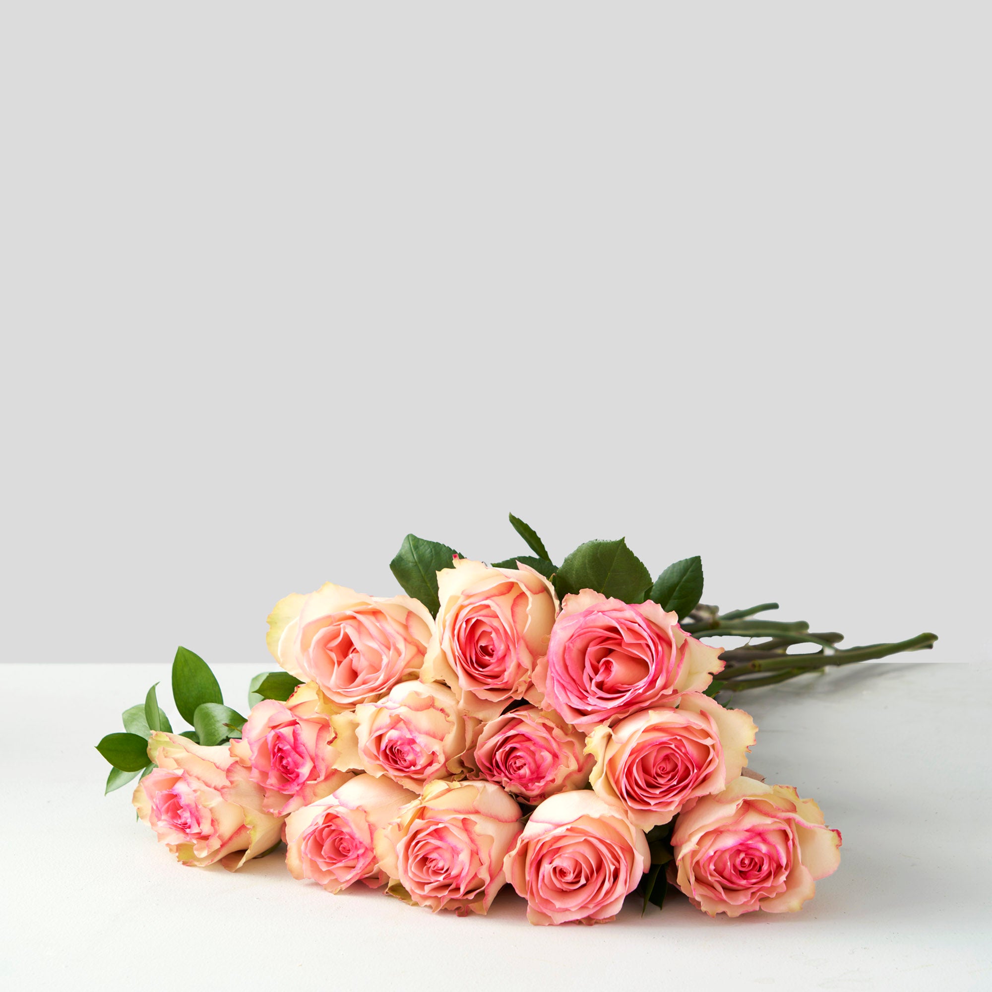 Roses « Esperance »