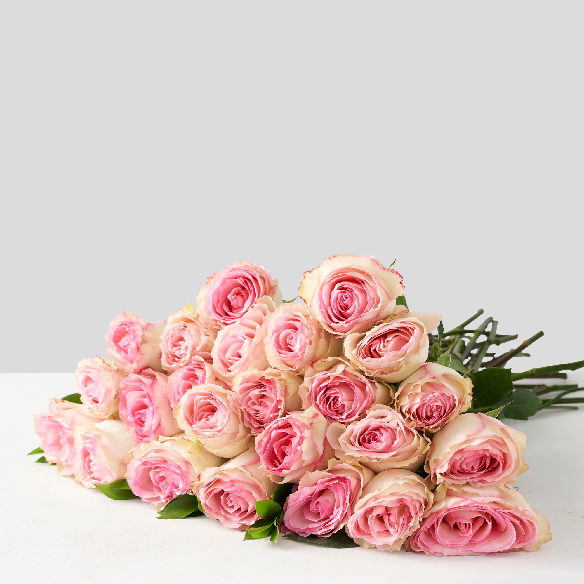 Twenty-four pink Esperance roses on white background.