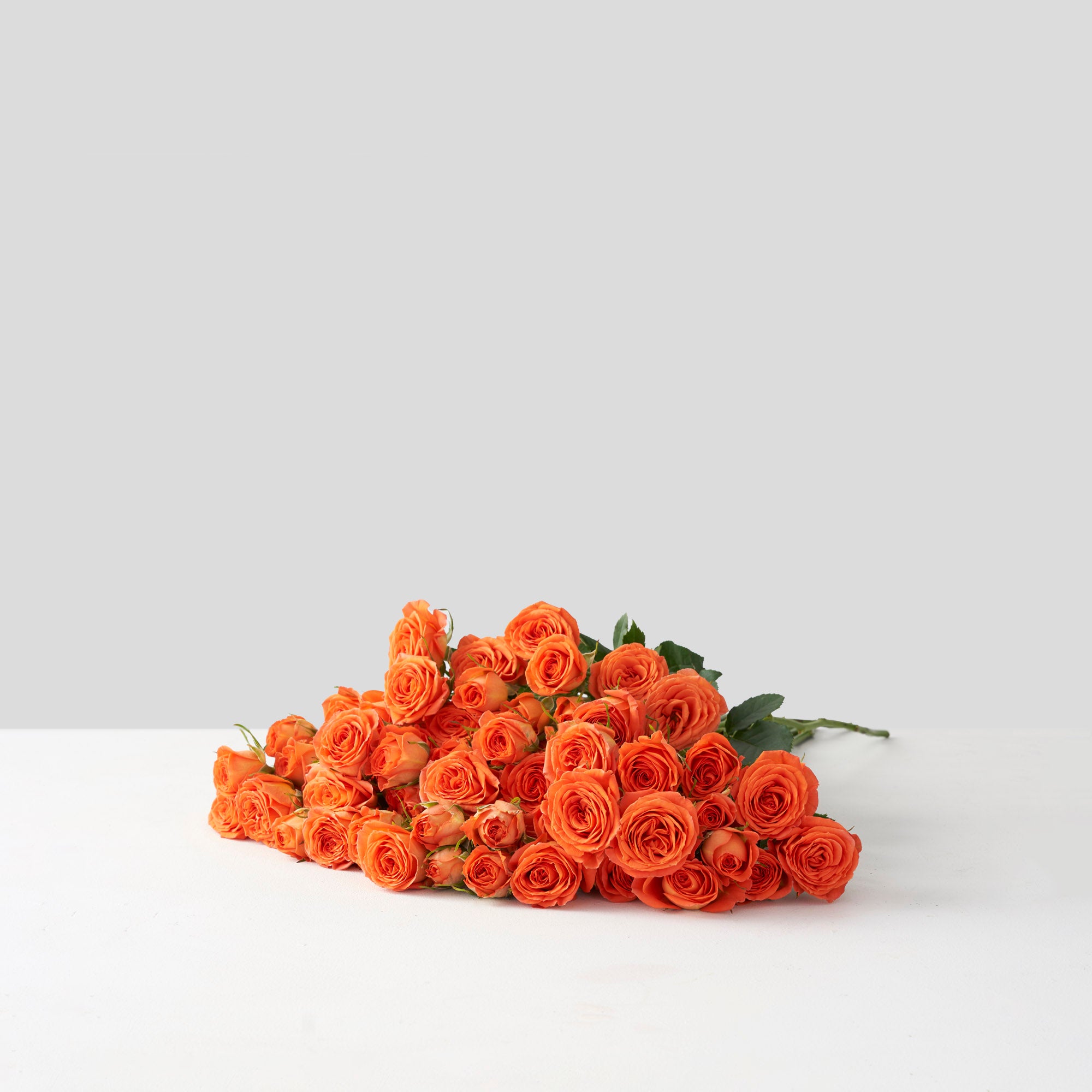 Orange Spray Roses