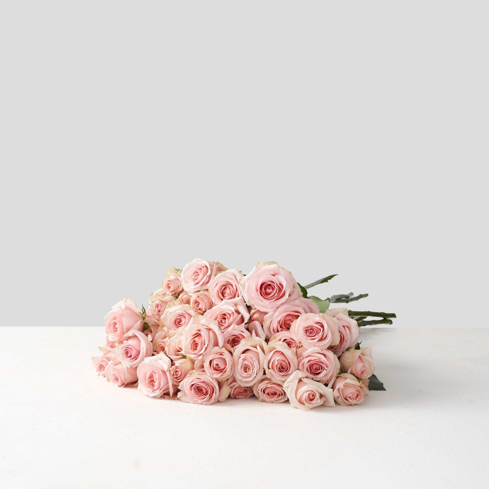 Soft Pink Spray Roses