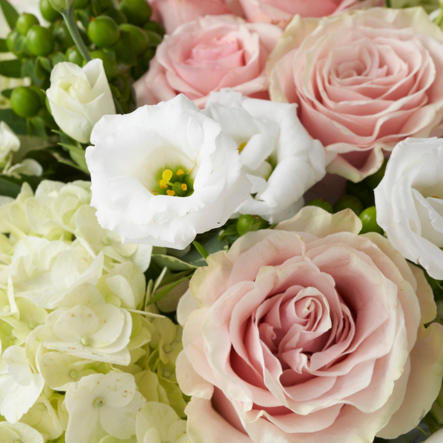 Closeup of pink roses, white lisianthus, and white hydrangea.