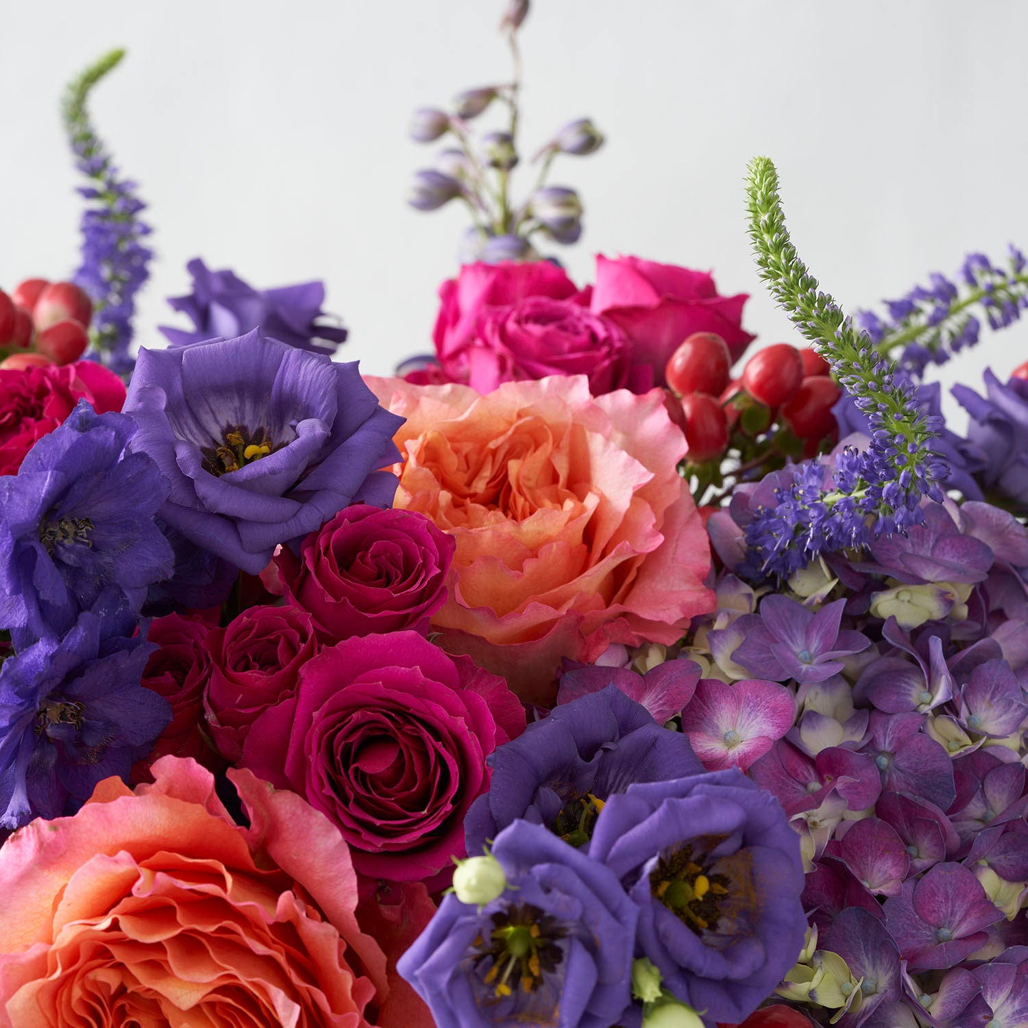 Closeup of fuchsia, orange, and deep purple flowers.