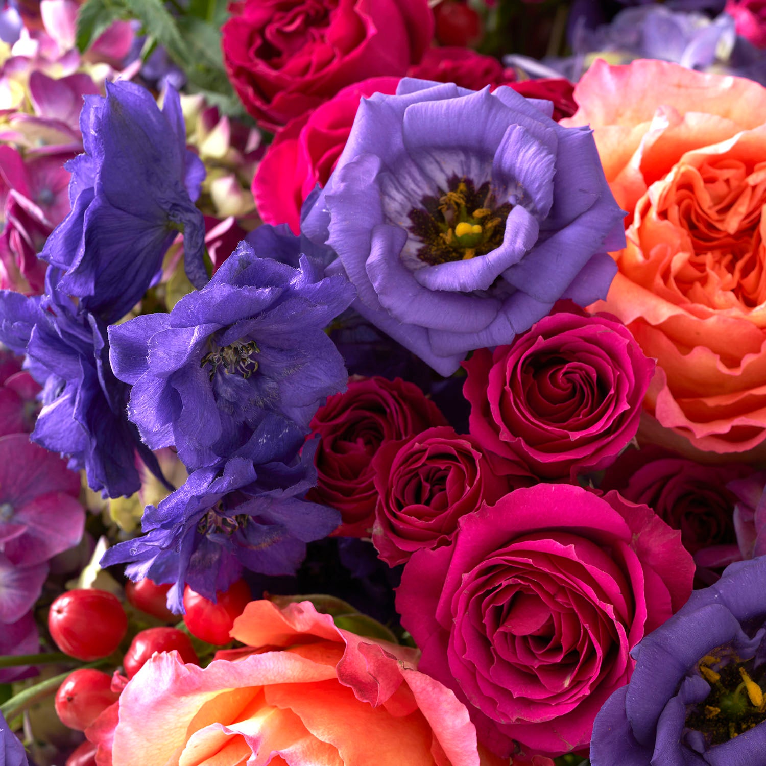 Close up of hot pink spray roses, orange free spirit roses, and purple Lisianthus.