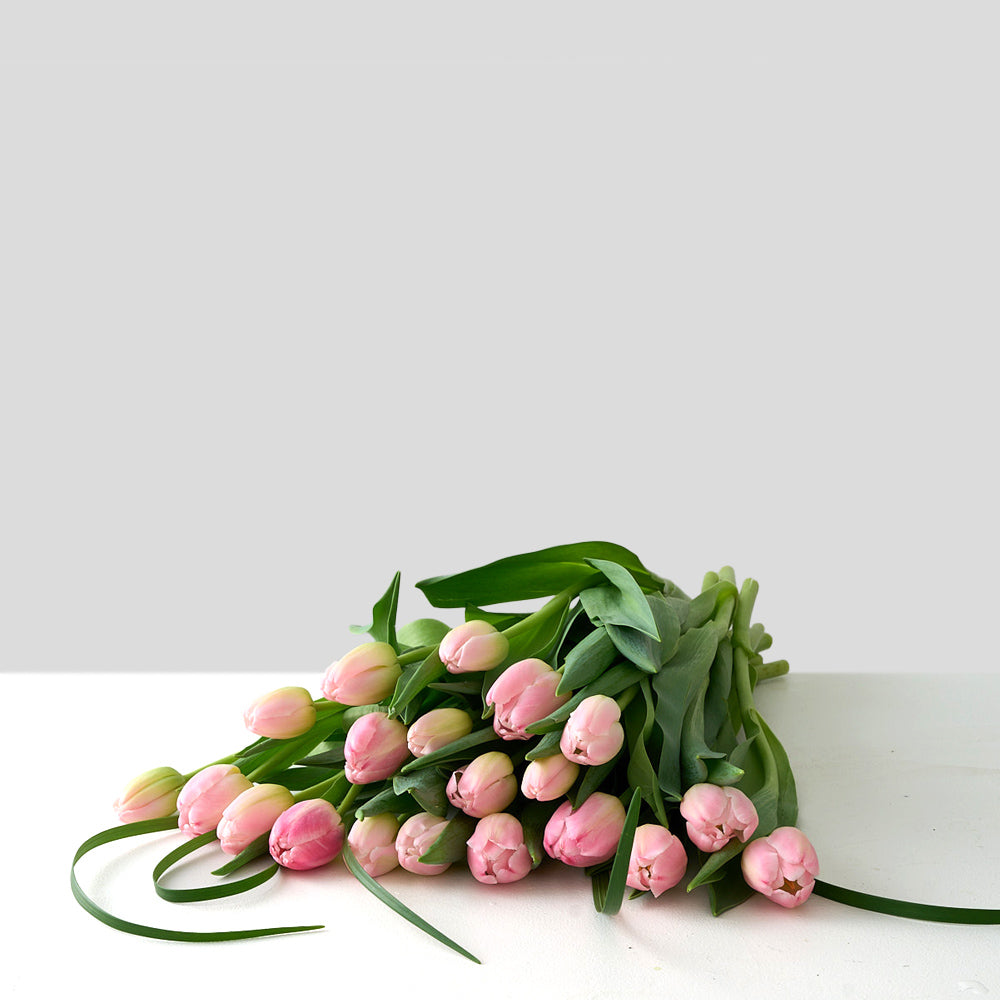 Monkland (Pink Tulips)