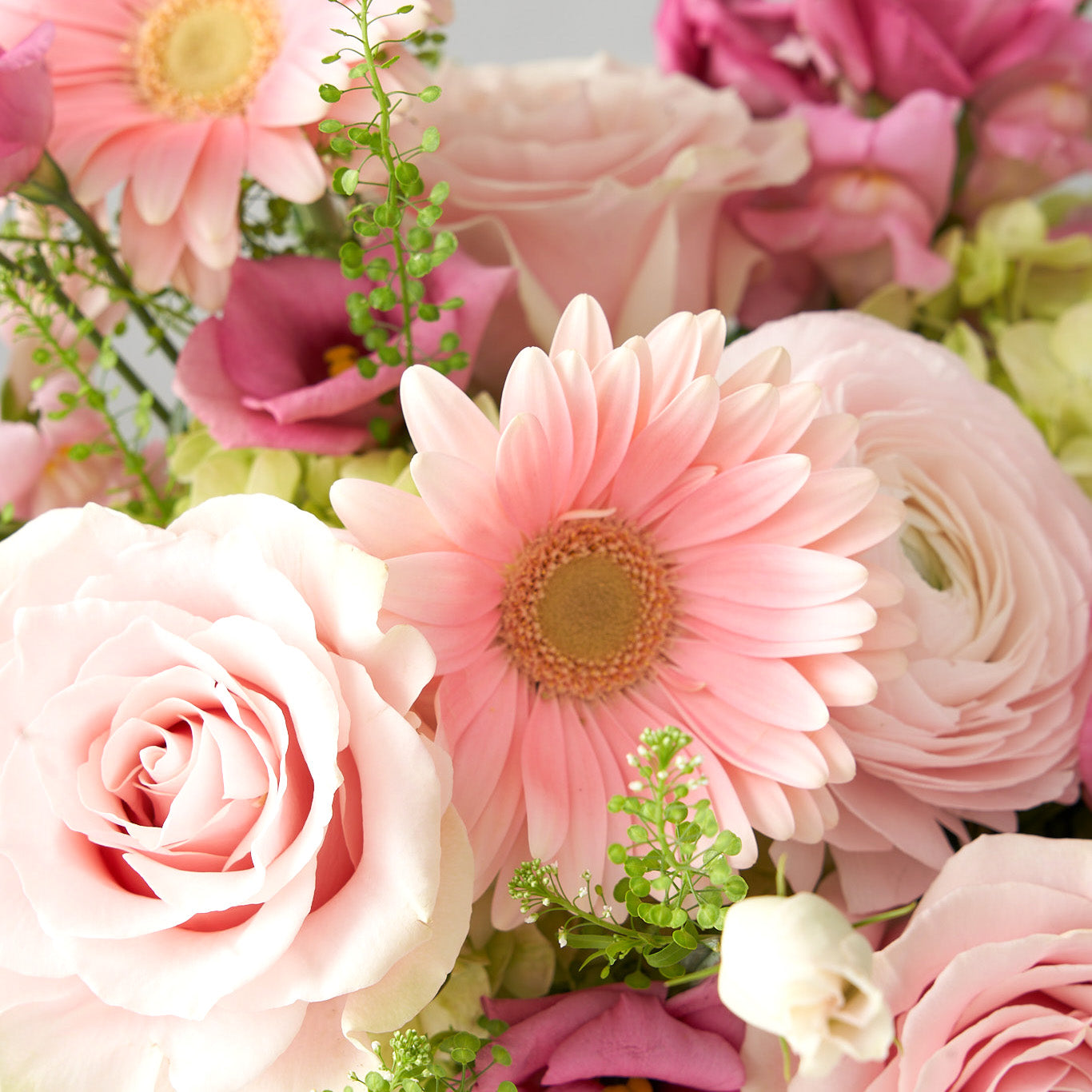 Pink daisy and pink spray rose with greenery in background