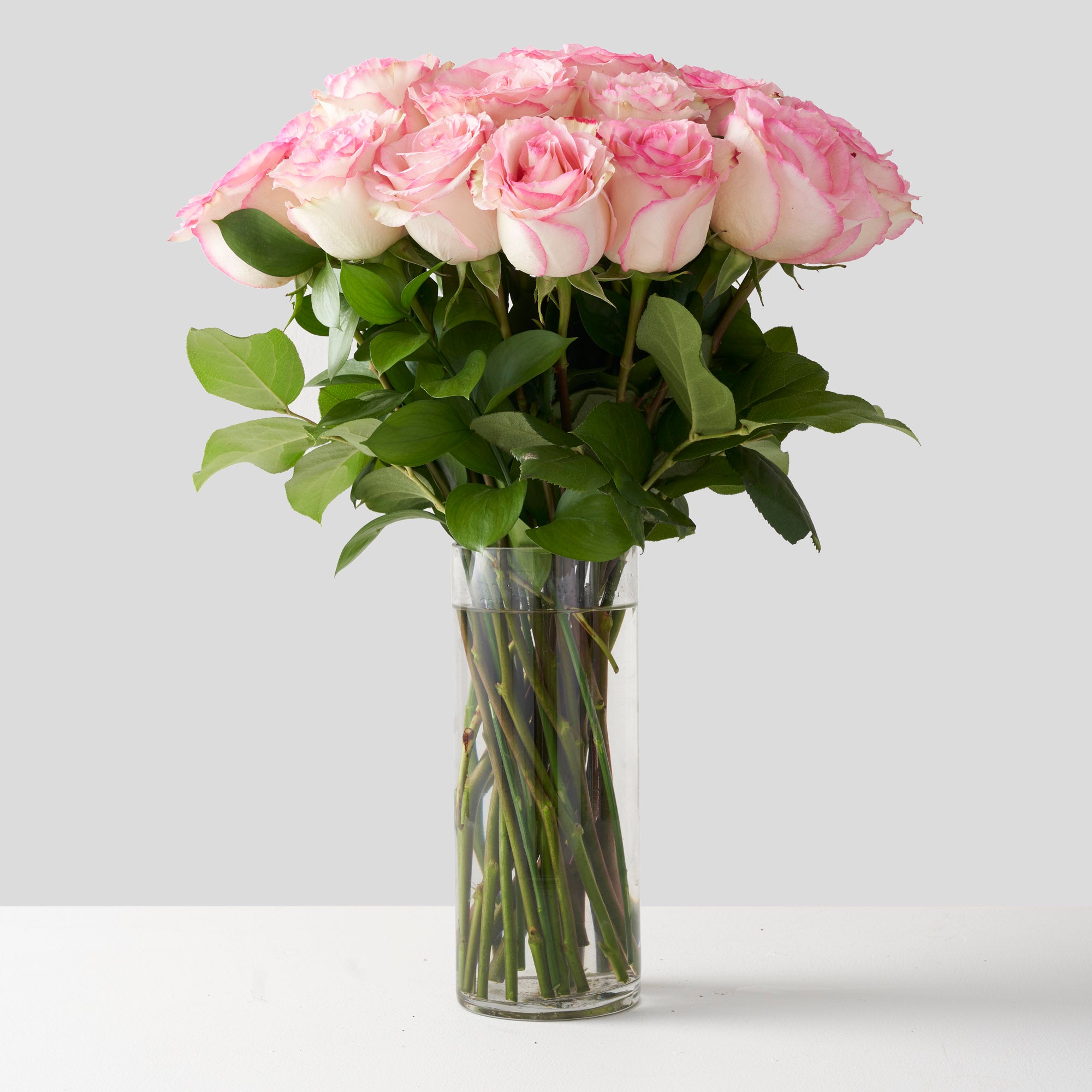 Twenty-four pink Esperance roses arranged in simple glass vase on white background.