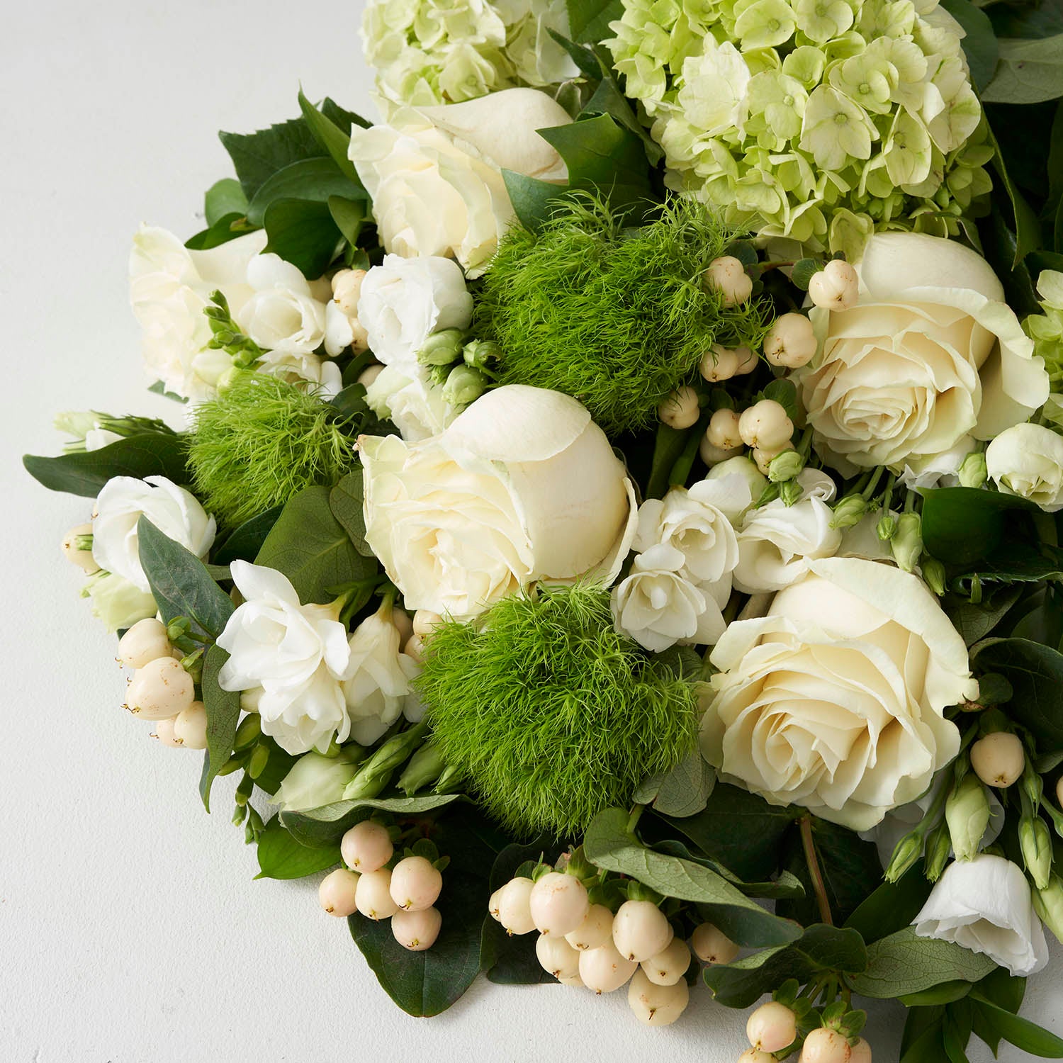 Closeup of white and green flowers on white background.