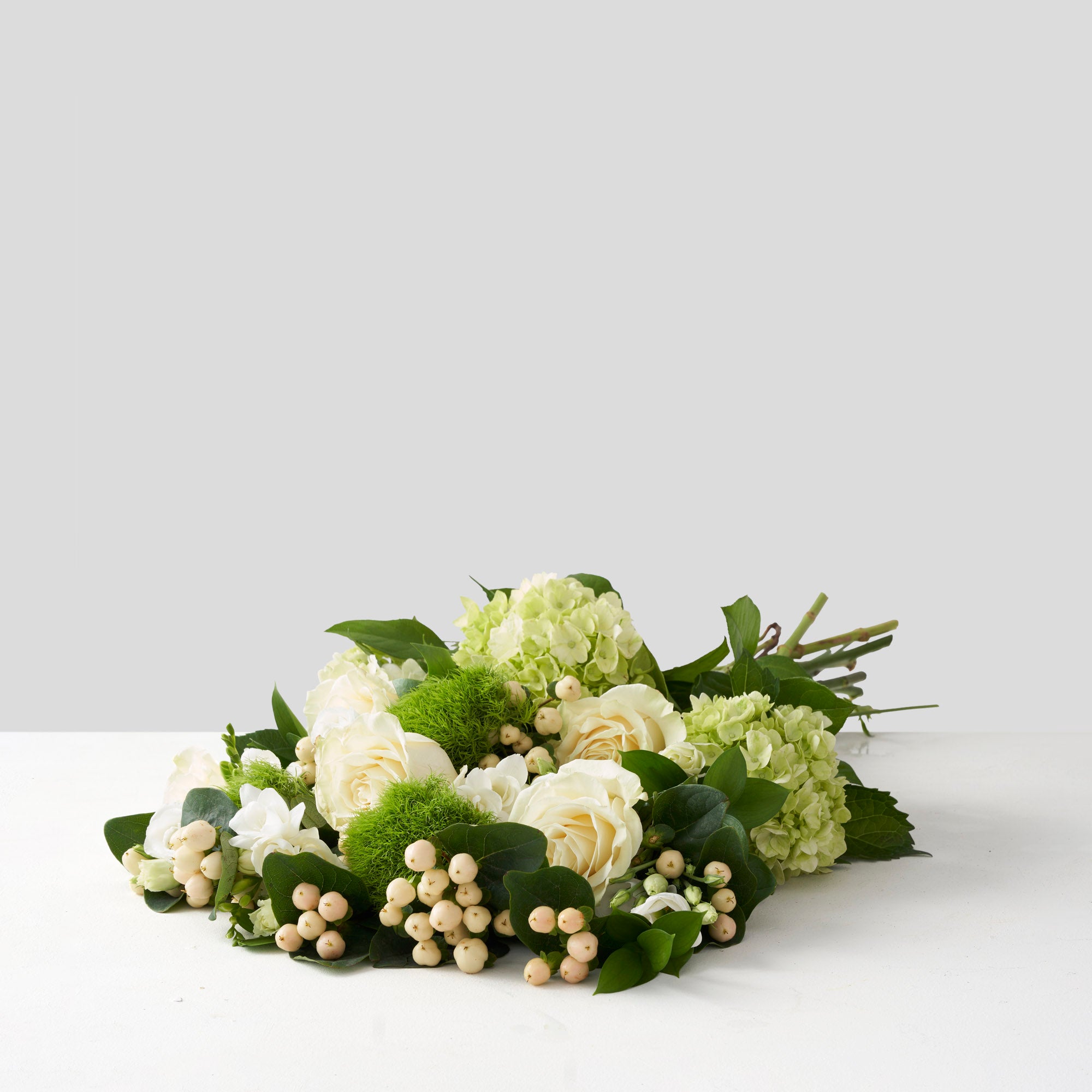 White Mondial roses with cream berries and green hydrangea on white background.