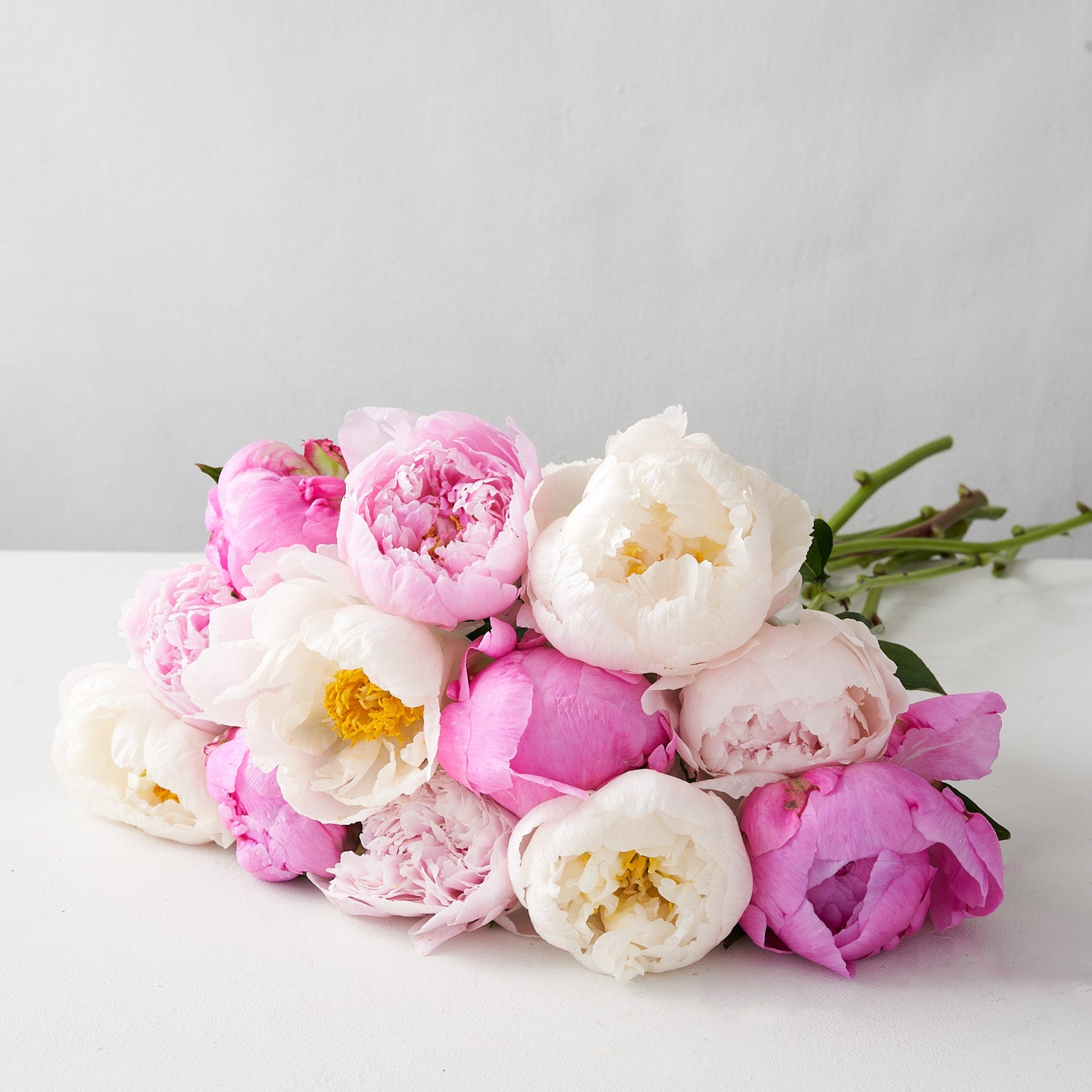 Mixed bouquet of white, fuschia and pale pink peonies